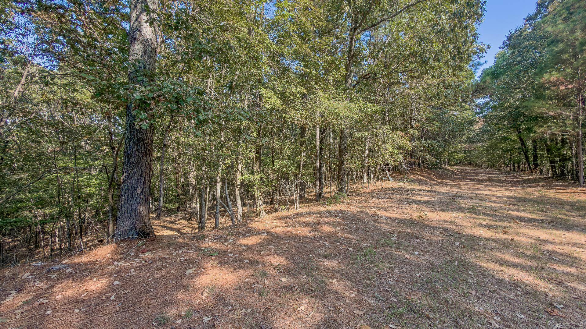 0 County Road 404 Property Photo 3