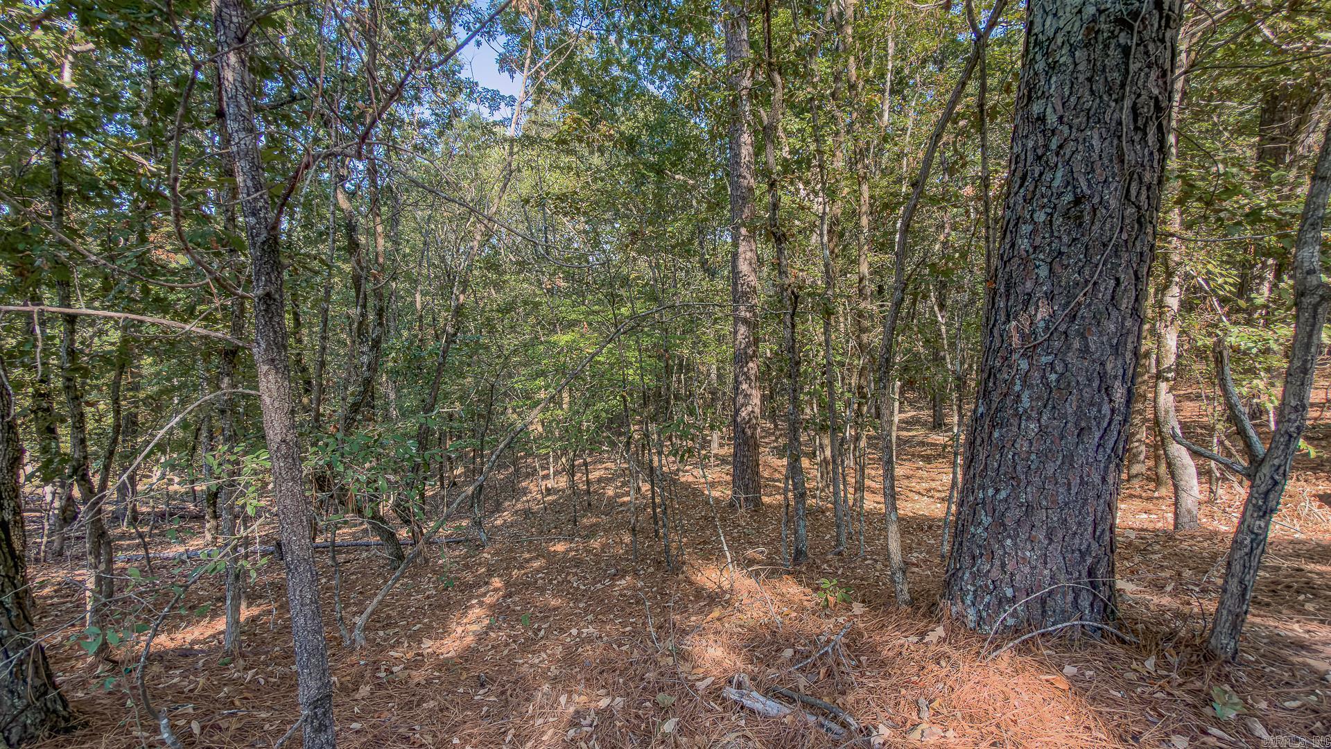 0 County Road 404 Property Photo 4