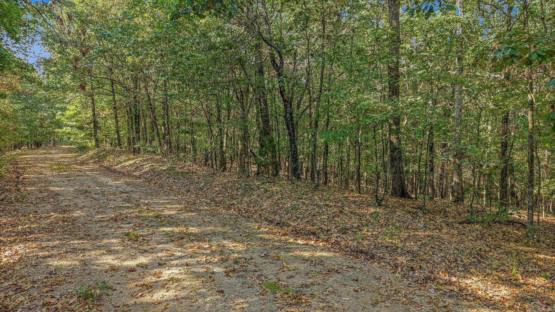 0 County Road 404 Property Photo 5