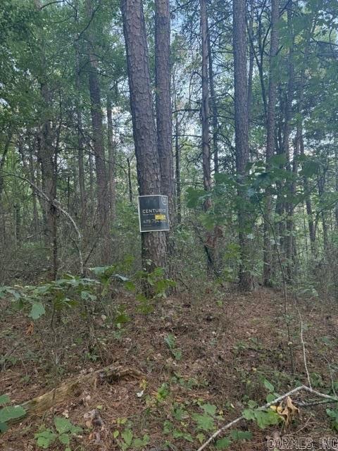 000 Usfs #1409 (closed Road) Property Photo 3