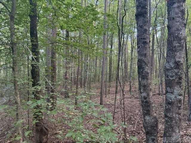 000 Usfs #1409 (closed Road) Property Photo 4