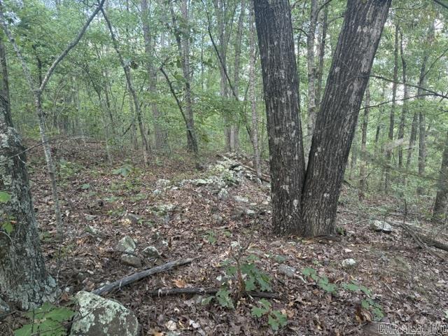000 Usfs #1409 (closed Road) Property Photo 5