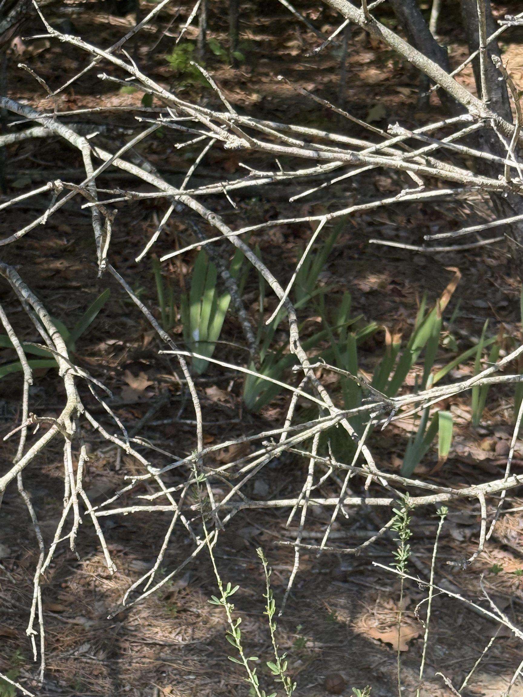 120 Kentucky Property Photo 4