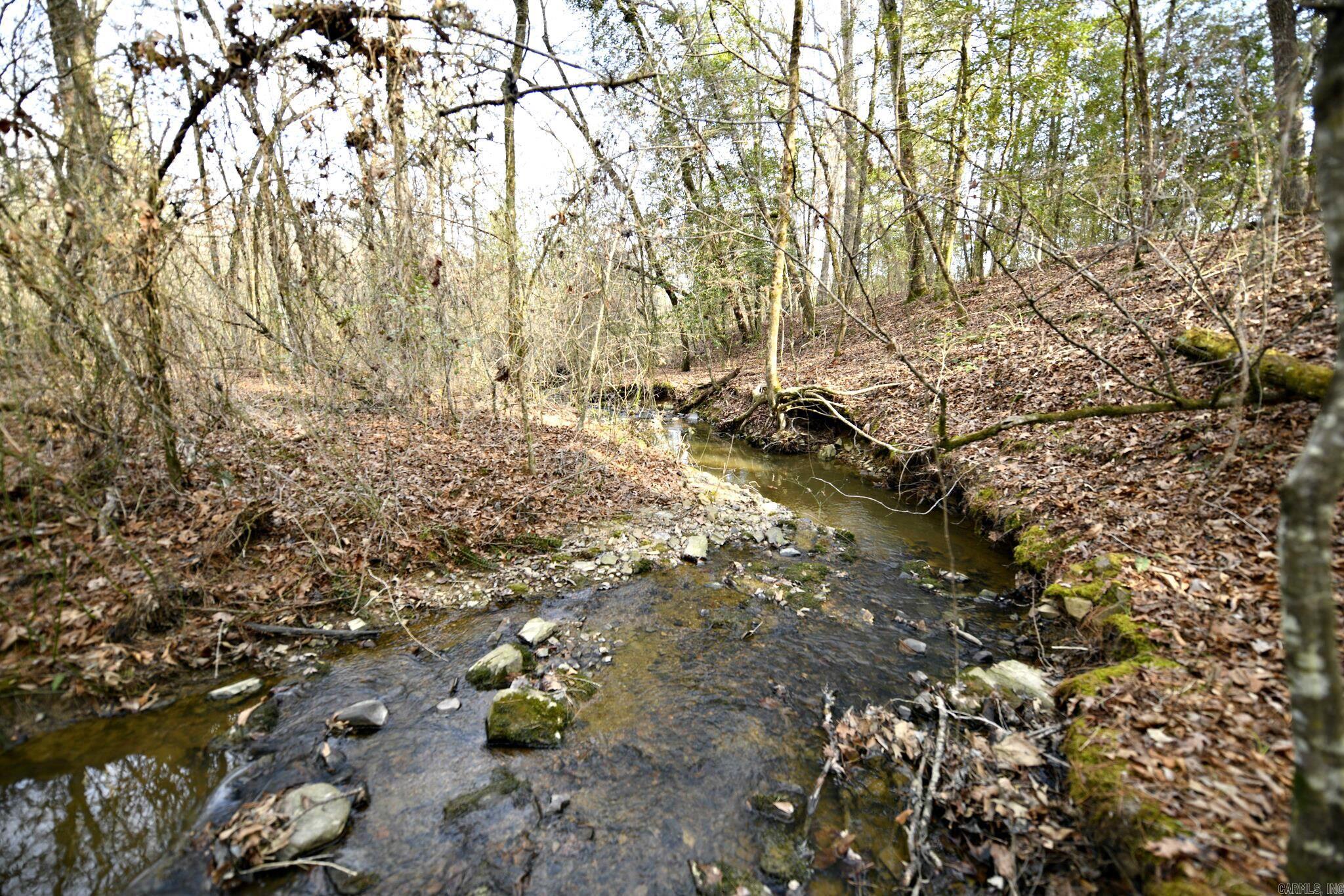 TBD Tract 5 Polk Road 95 Property Photo 1