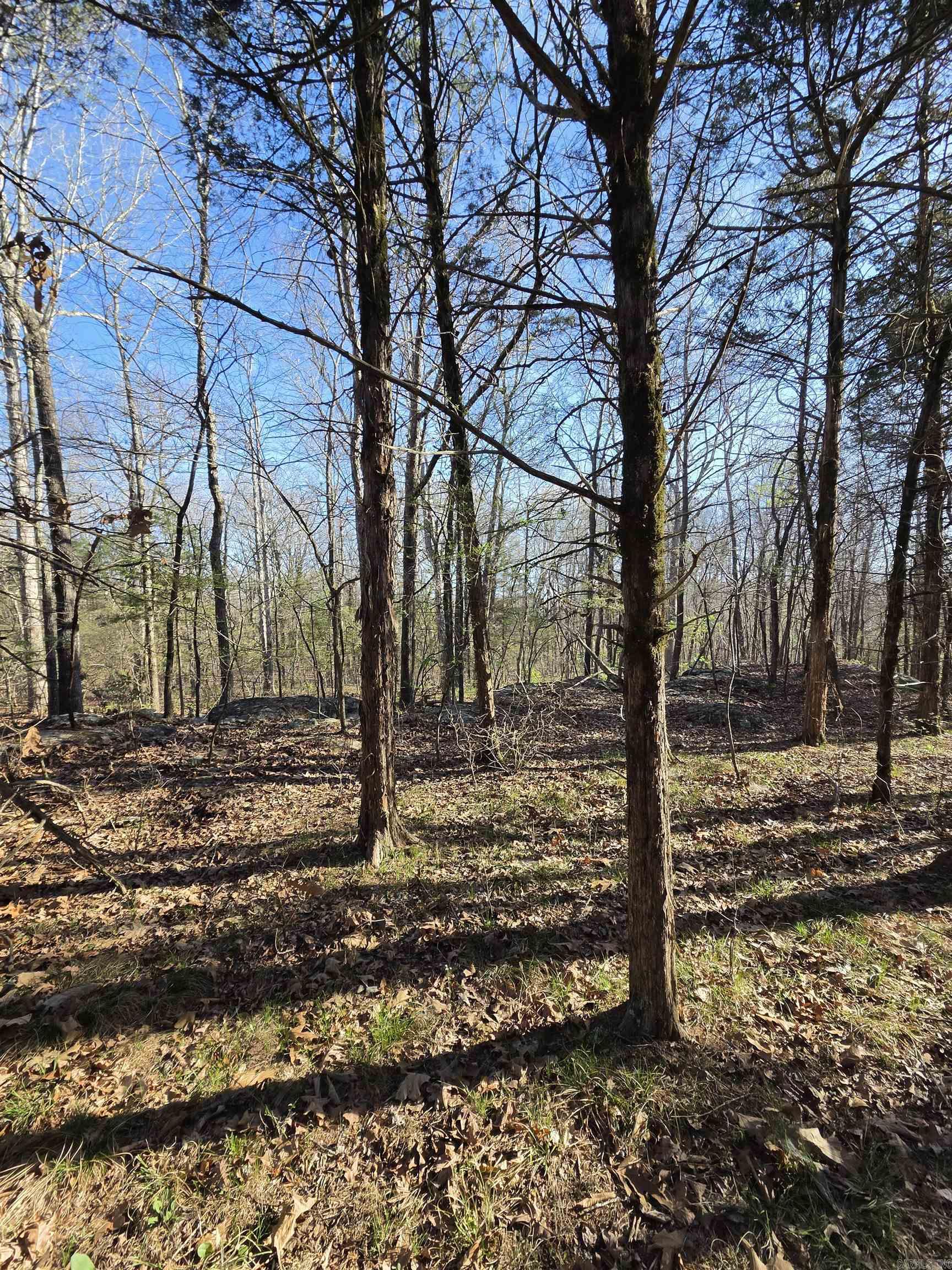 2008 Jackson 5 Property Photo 15
