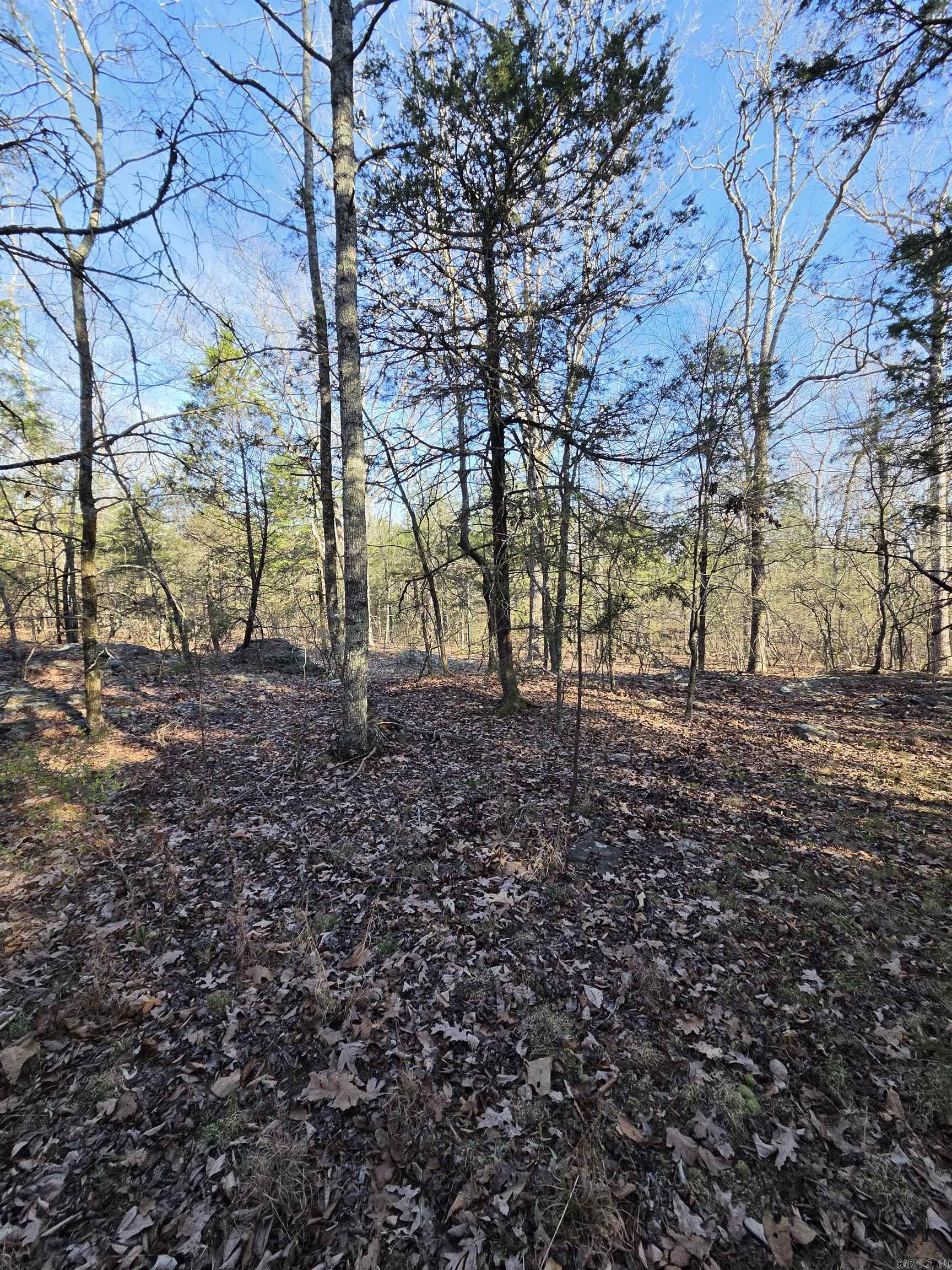 2008 Jackson 5 Property Photo 16