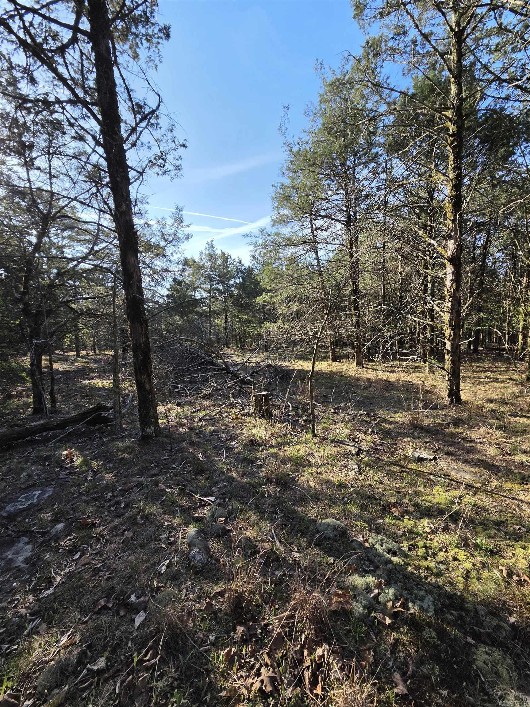 2008 Jackson 5 Property Photo 23
