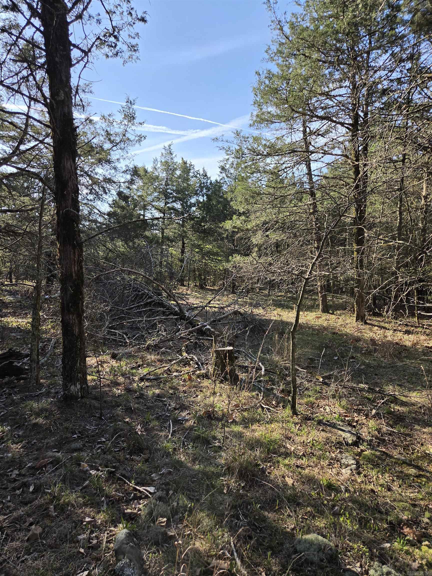 2008 Jackson 5 Property Photo 24