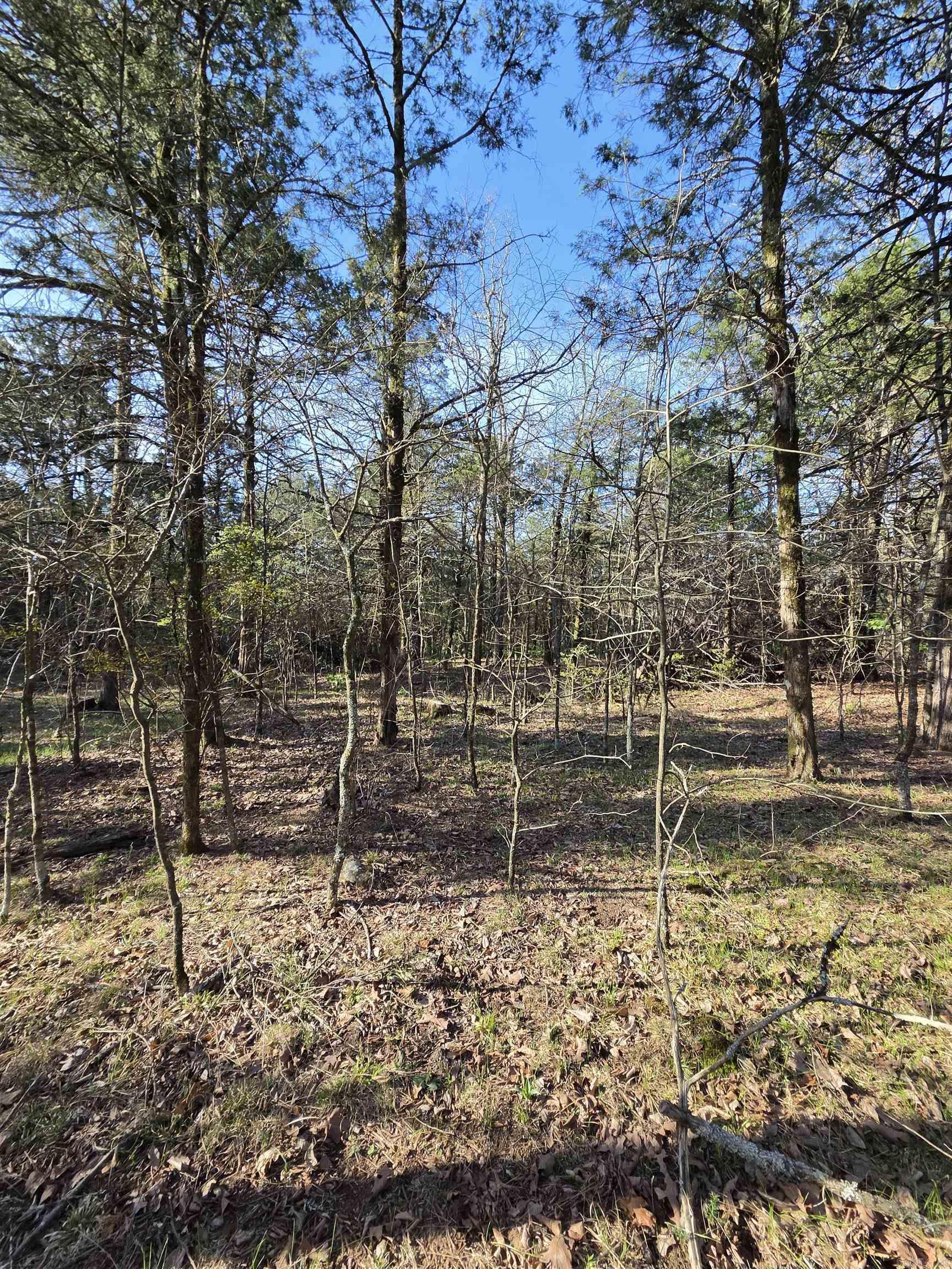 2008 Jackson 5 Property Photo 26