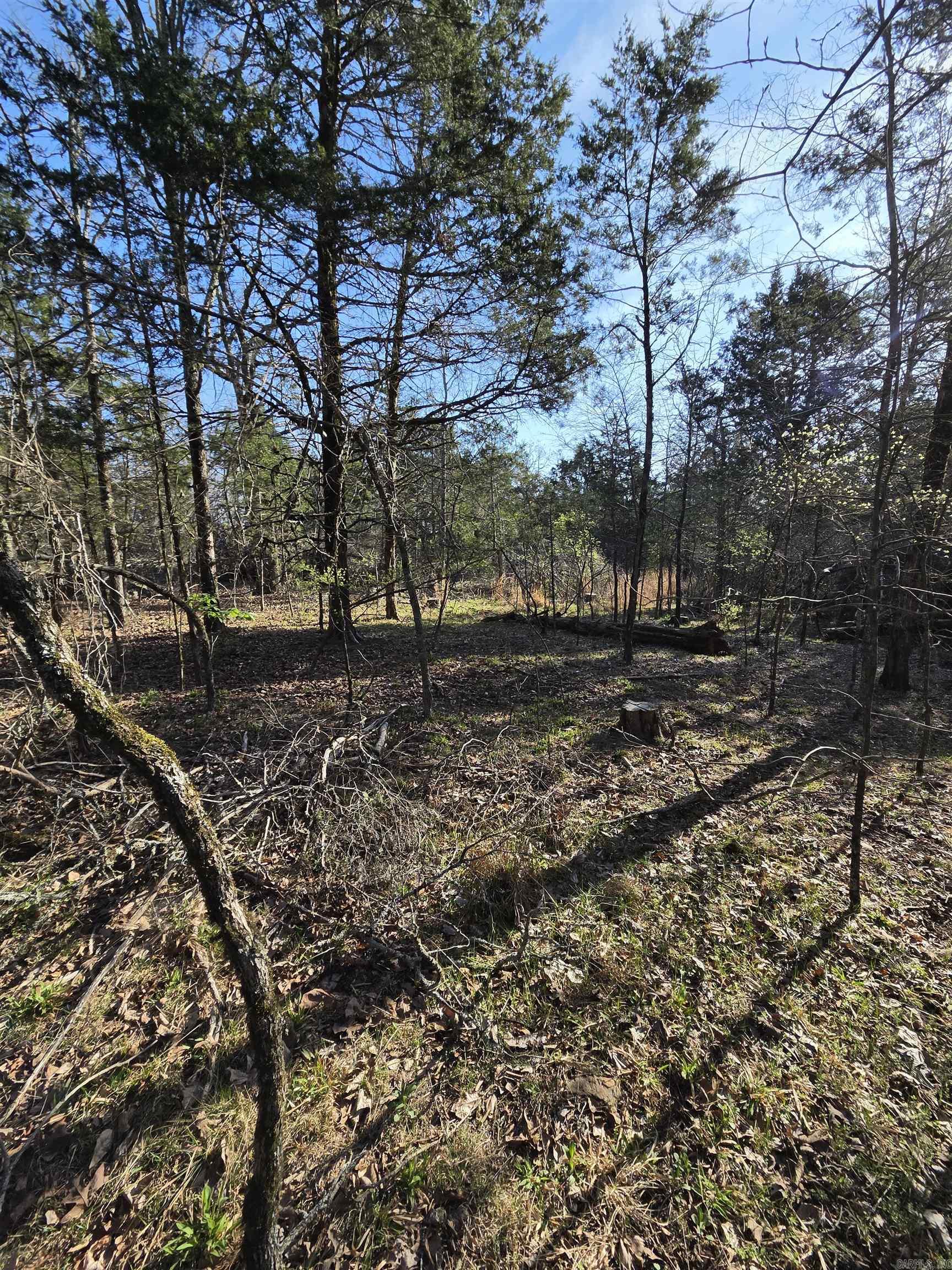 2008 Jackson 5 Property Photo 27