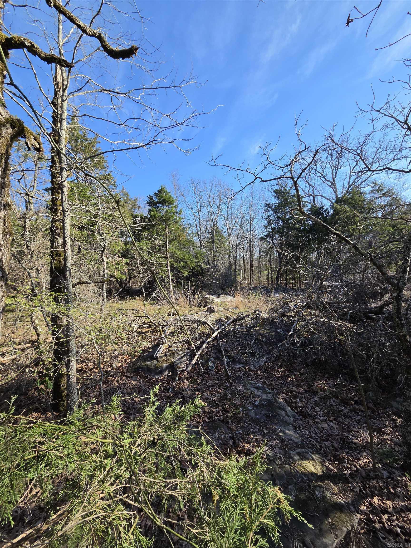 2008 Jackson 5 Property Photo 29