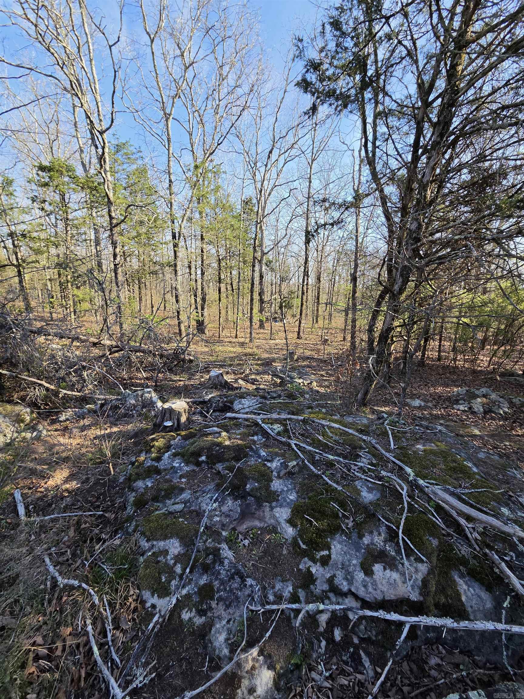 2008 Jackson 5 Property Photo 31