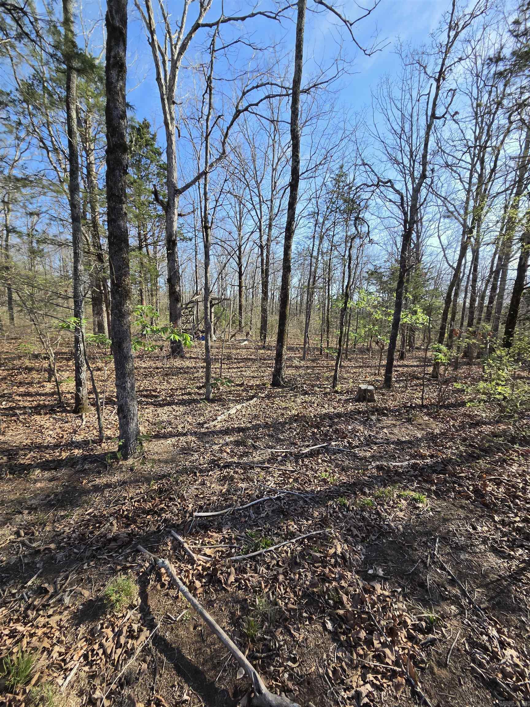 2008 Jackson 5 Property Photo 33