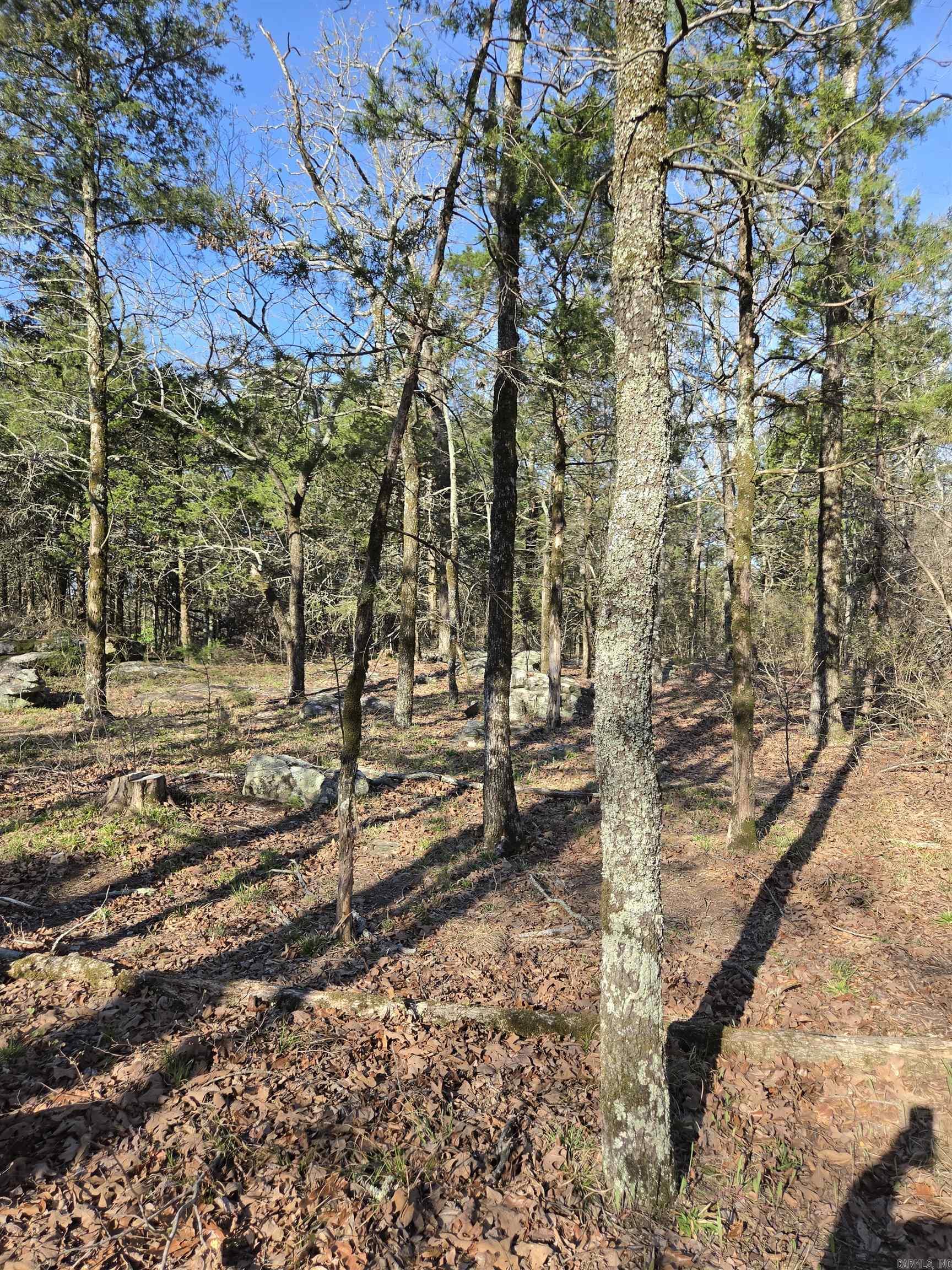2008 Jackson 5 Property Photo 35