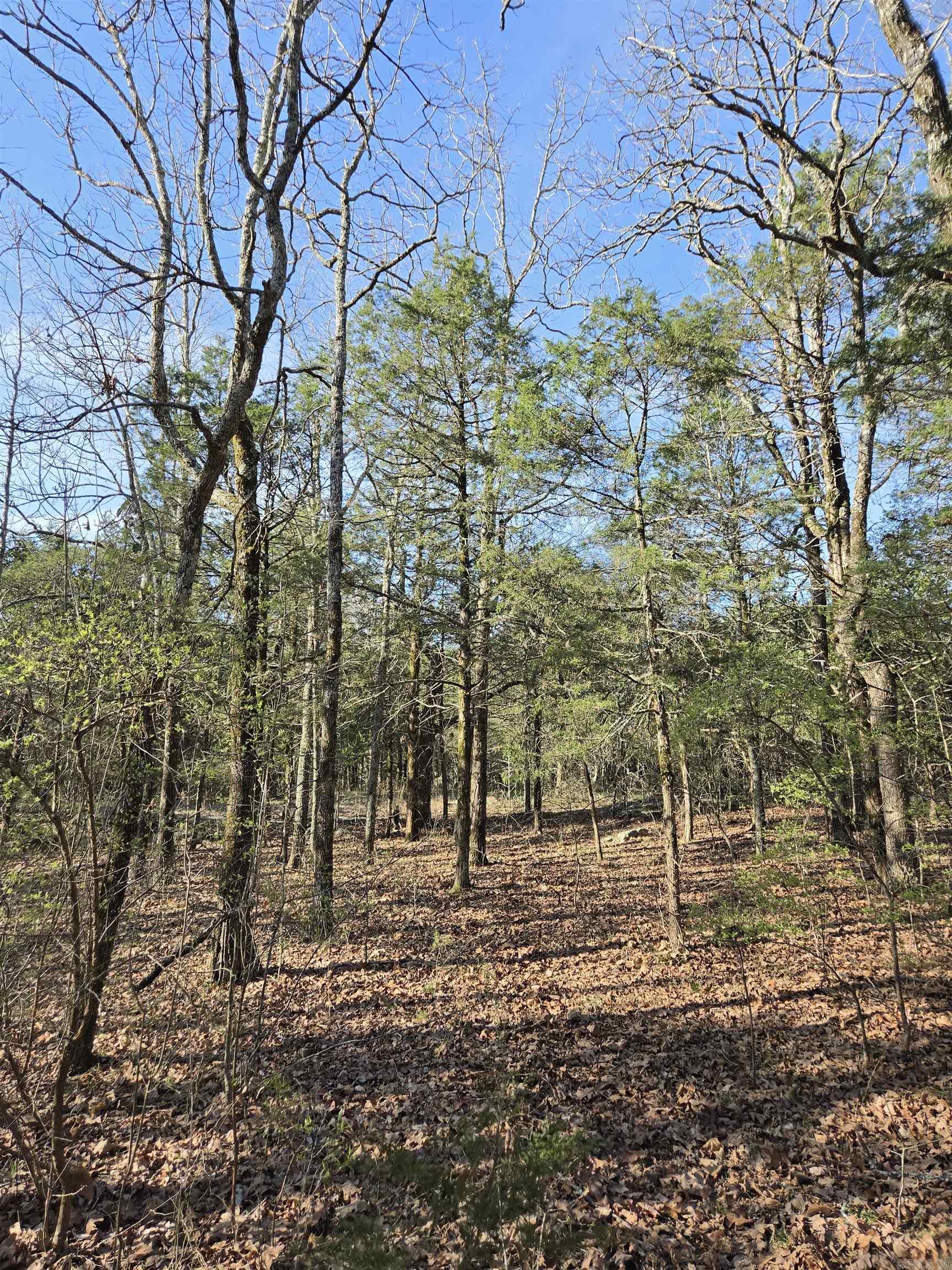 2008 Jackson 5 Property Photo 36