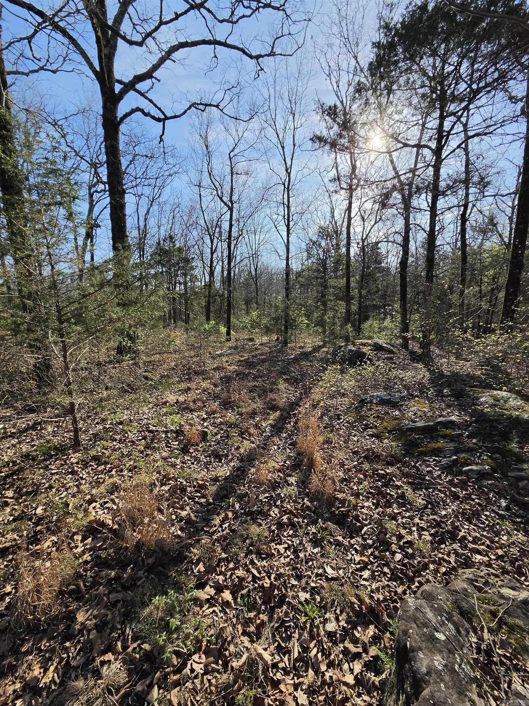 2008 Jackson 5 Property Photo 38