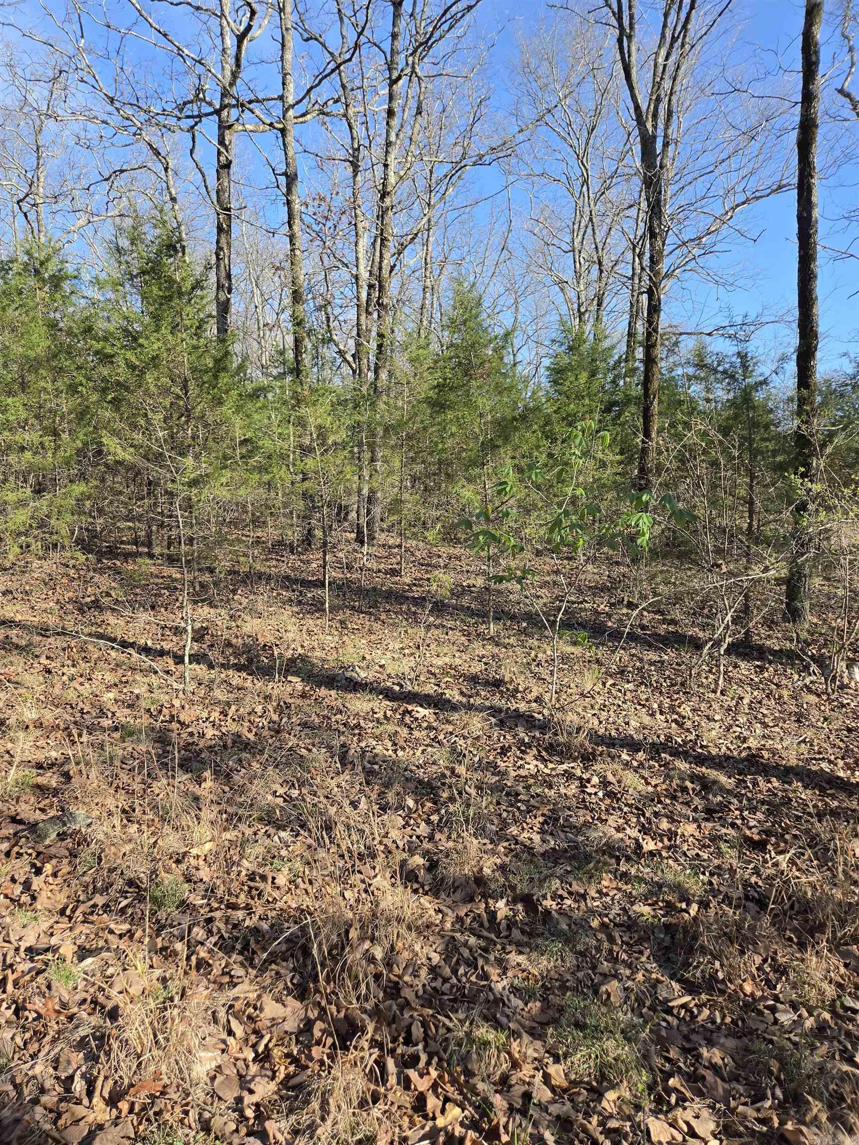 2008 Jackson 5 Property Photo 39