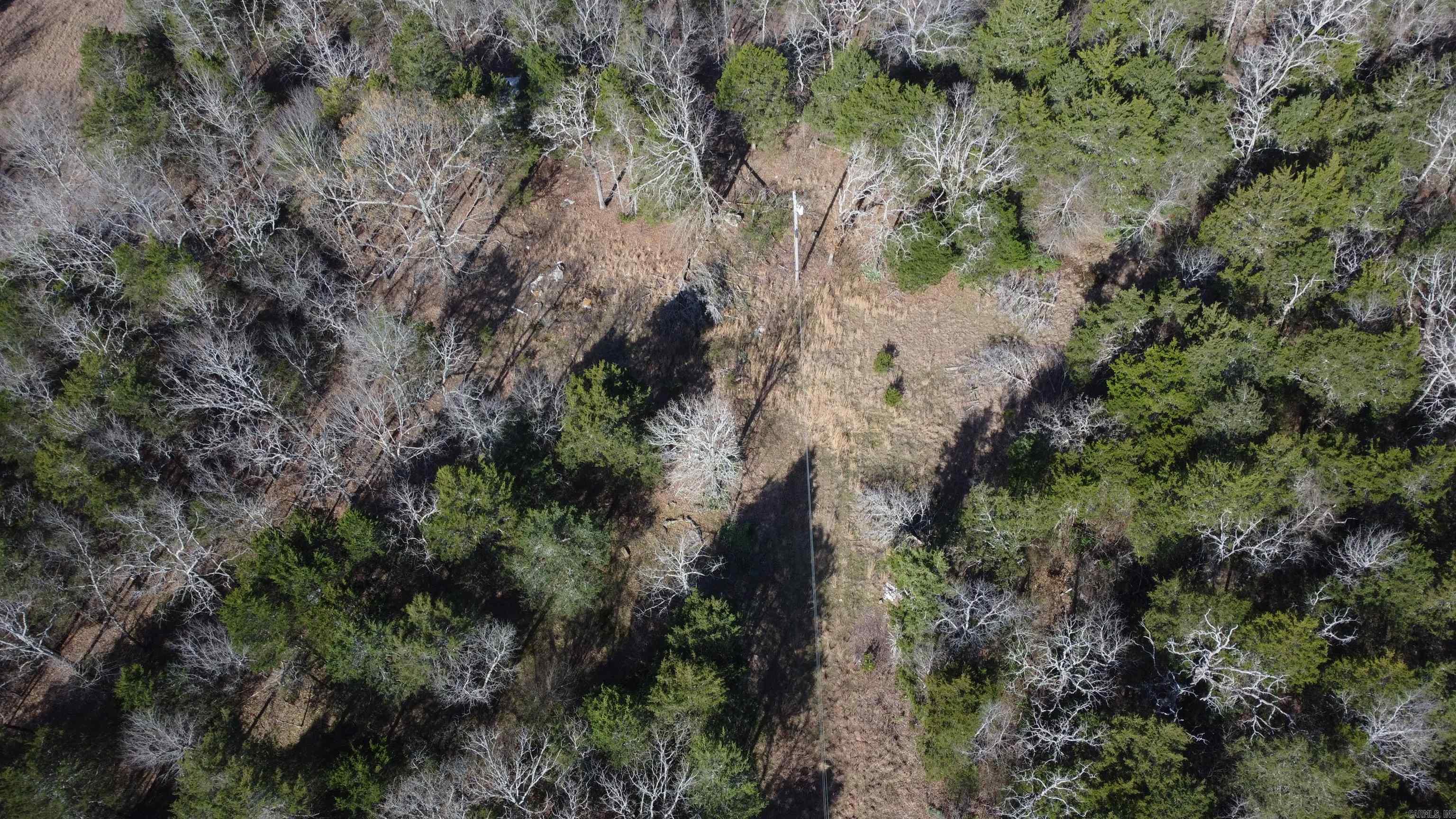 1812 Jackson 5 Property Photo 2