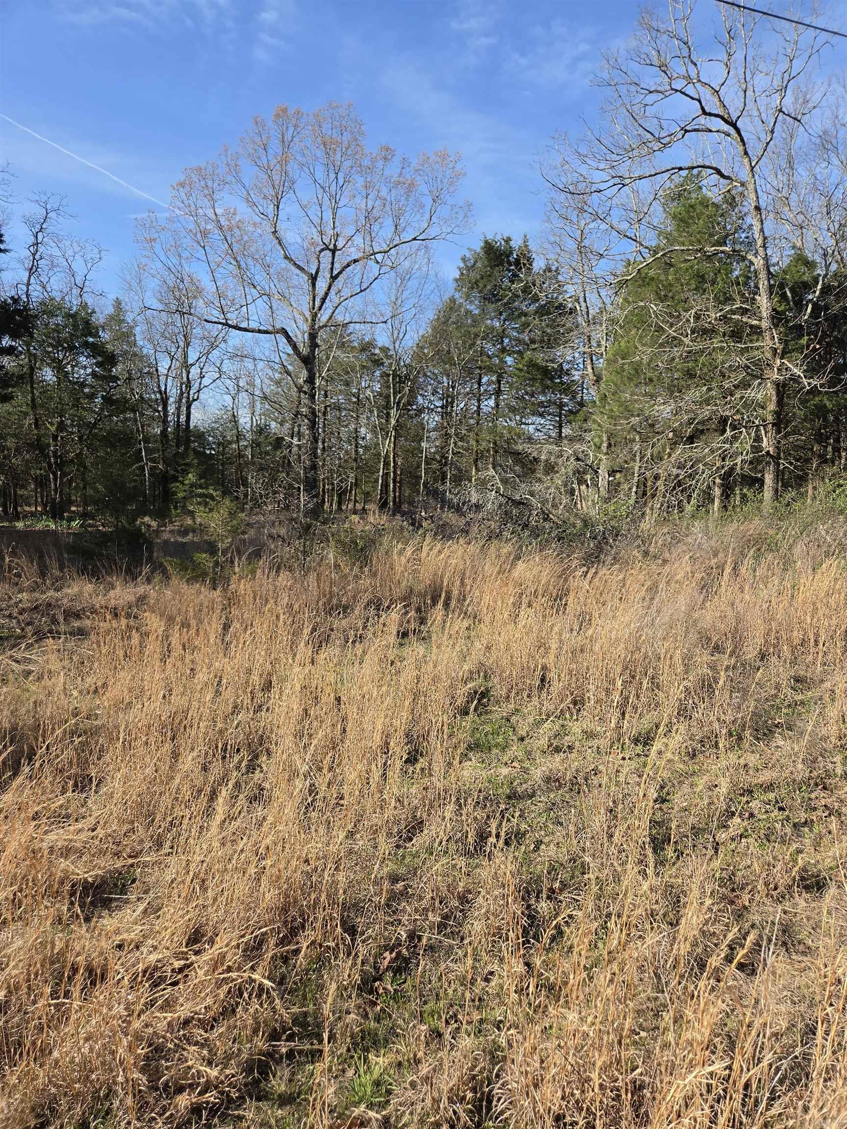 1812 Jackson 5 Property Photo 4