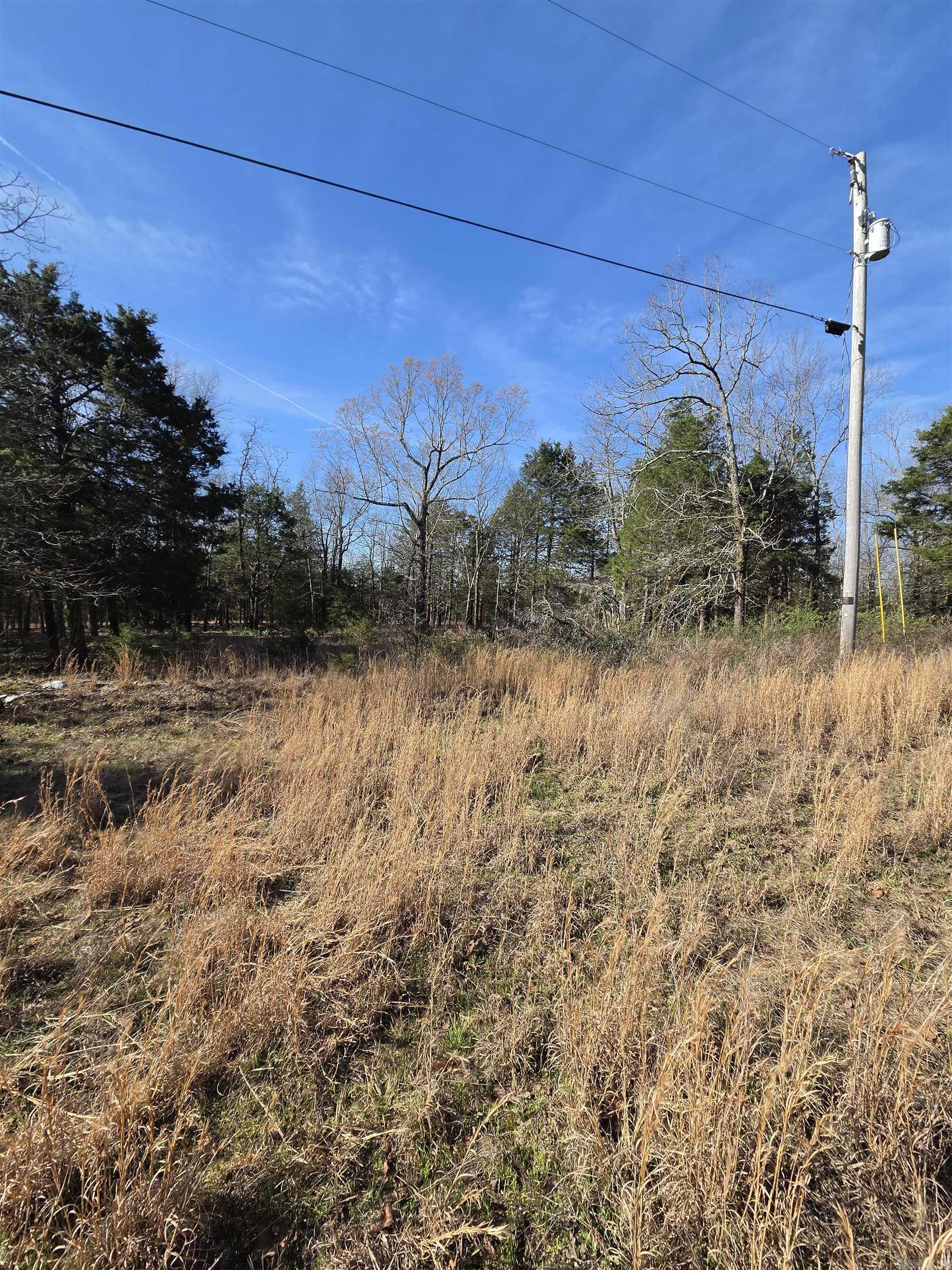 1812 Jackson 5 Property Photo 6