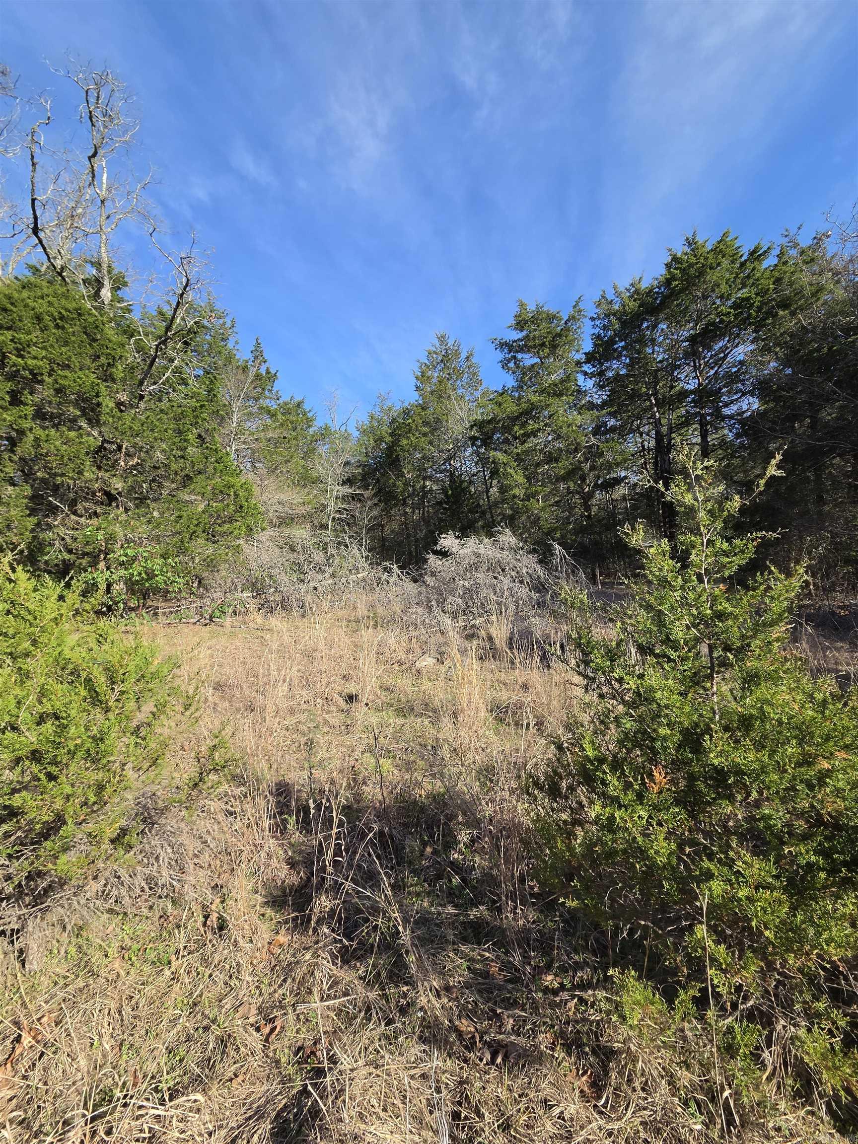 1812 Jackson 5 Property Photo 7