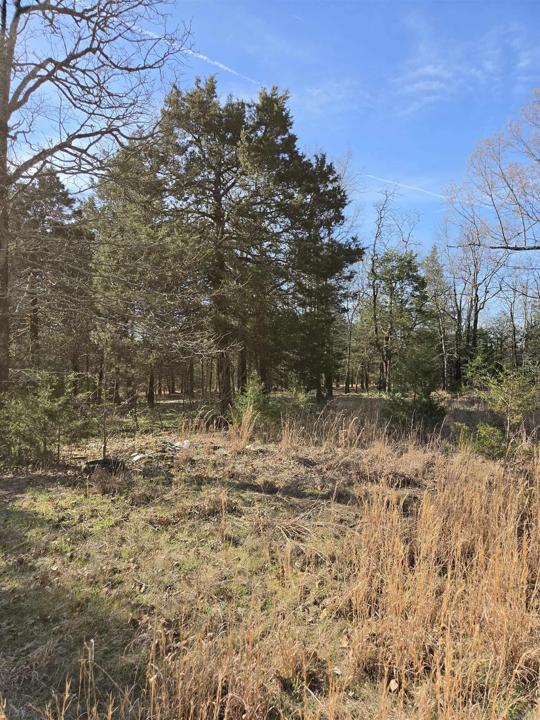 1812 Jackson 5 Property Photo 9