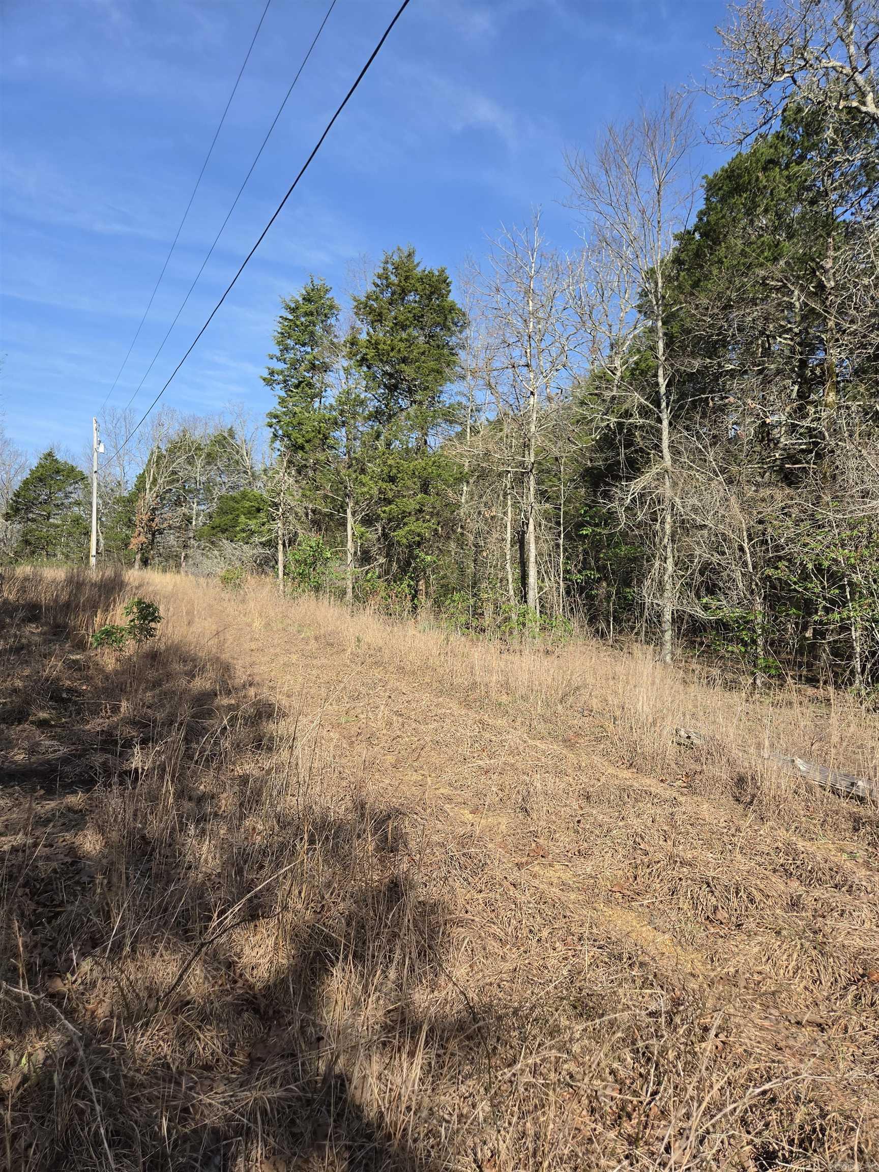 1812 Jackson 5 Property Photo 10