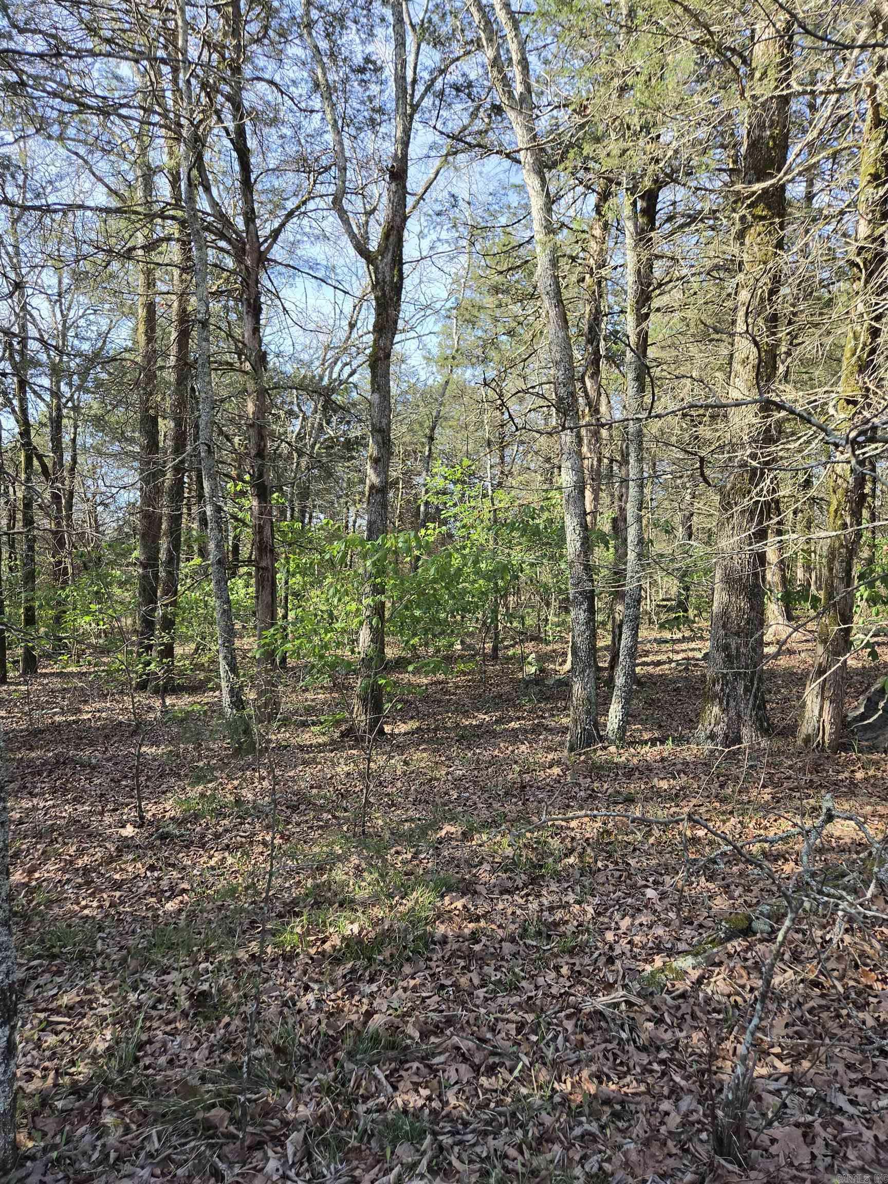 1812 Jackson 5 Property Photo 11