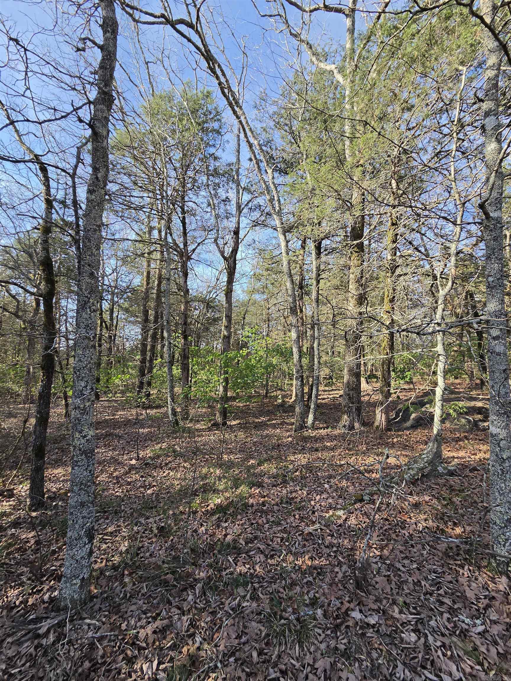 1812 Jackson 5 Property Photo 12