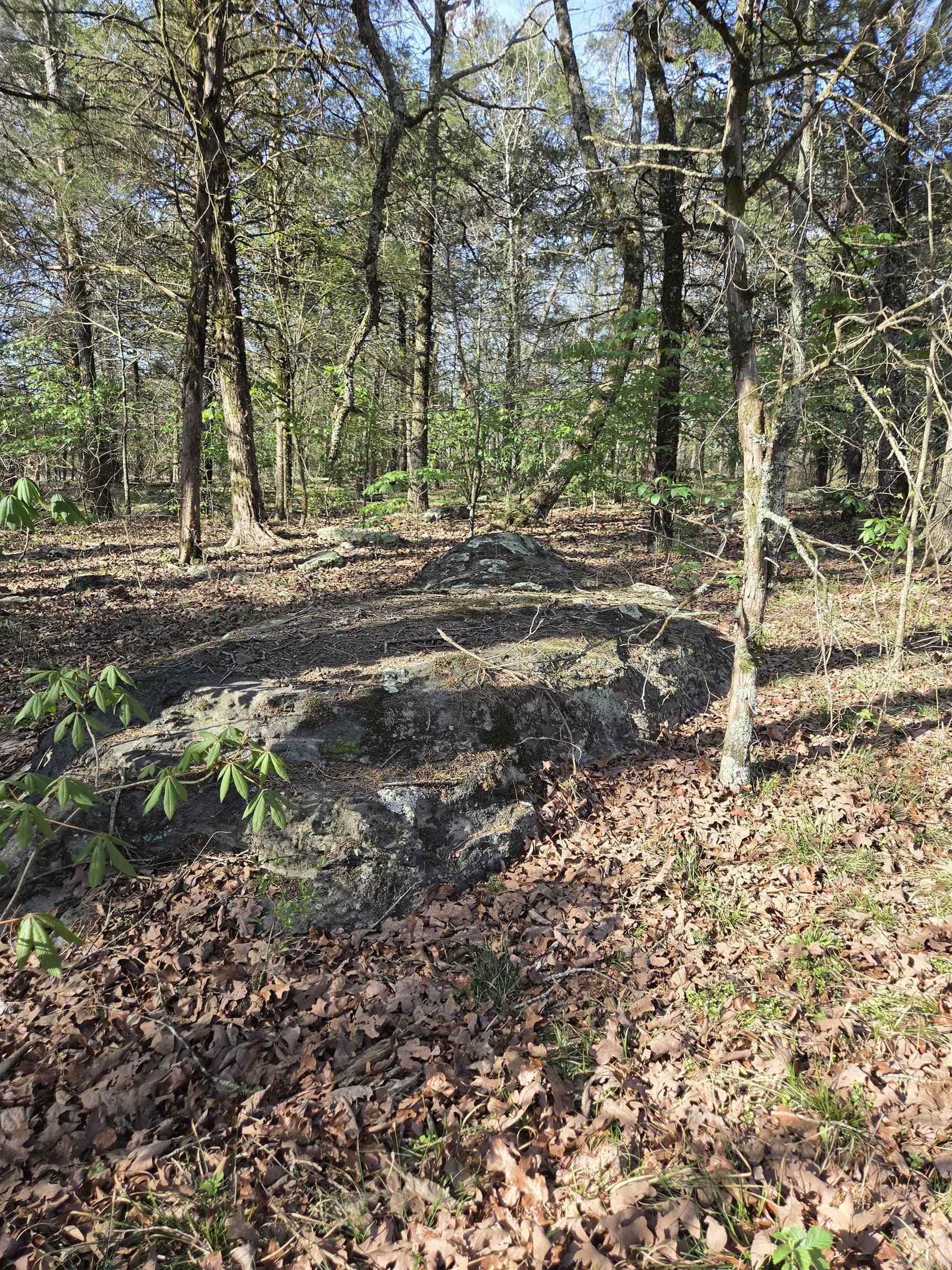 1812 Jackson 5 Property Photo 13