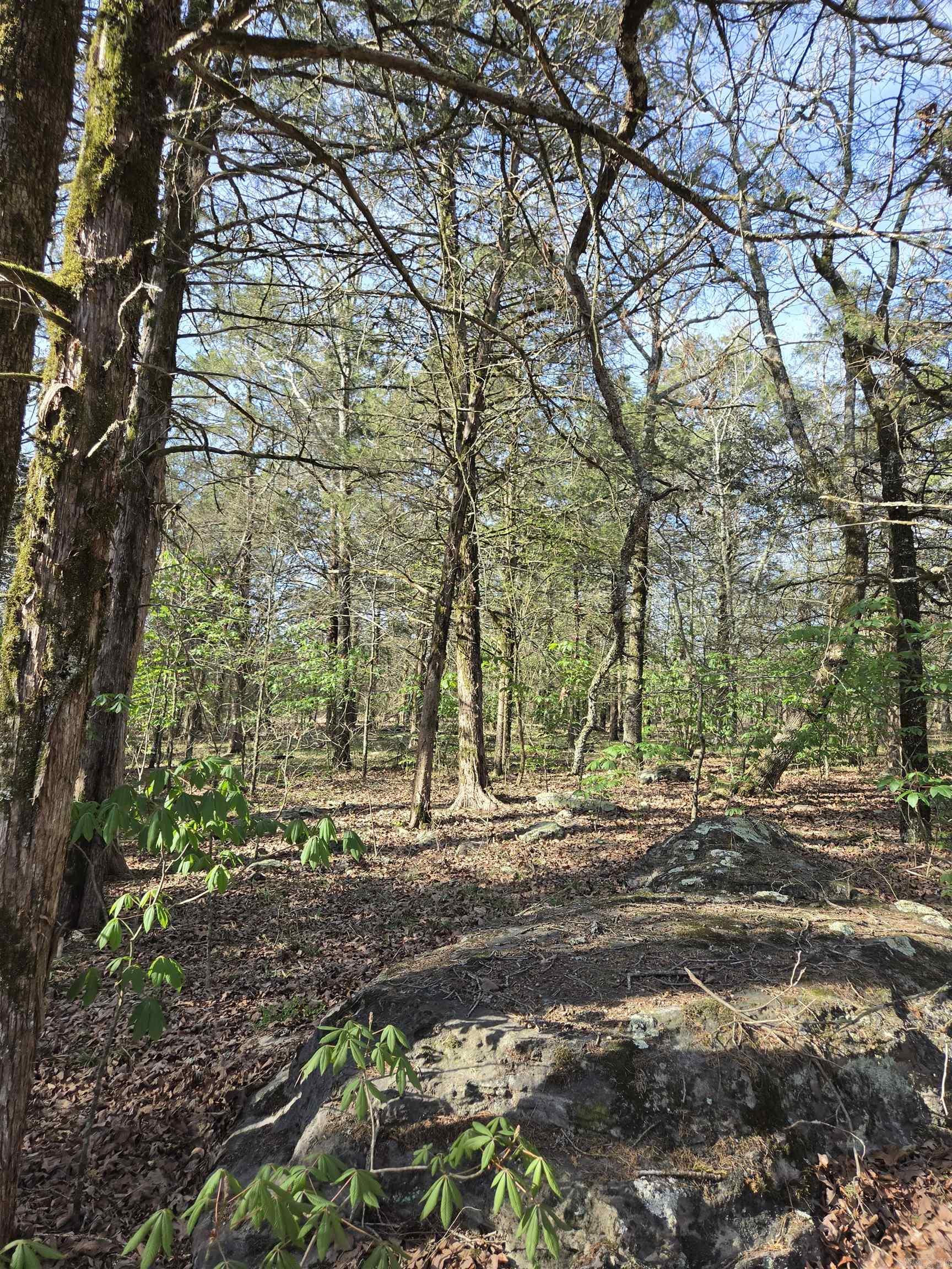 1812 Jackson 5 Property Photo 14