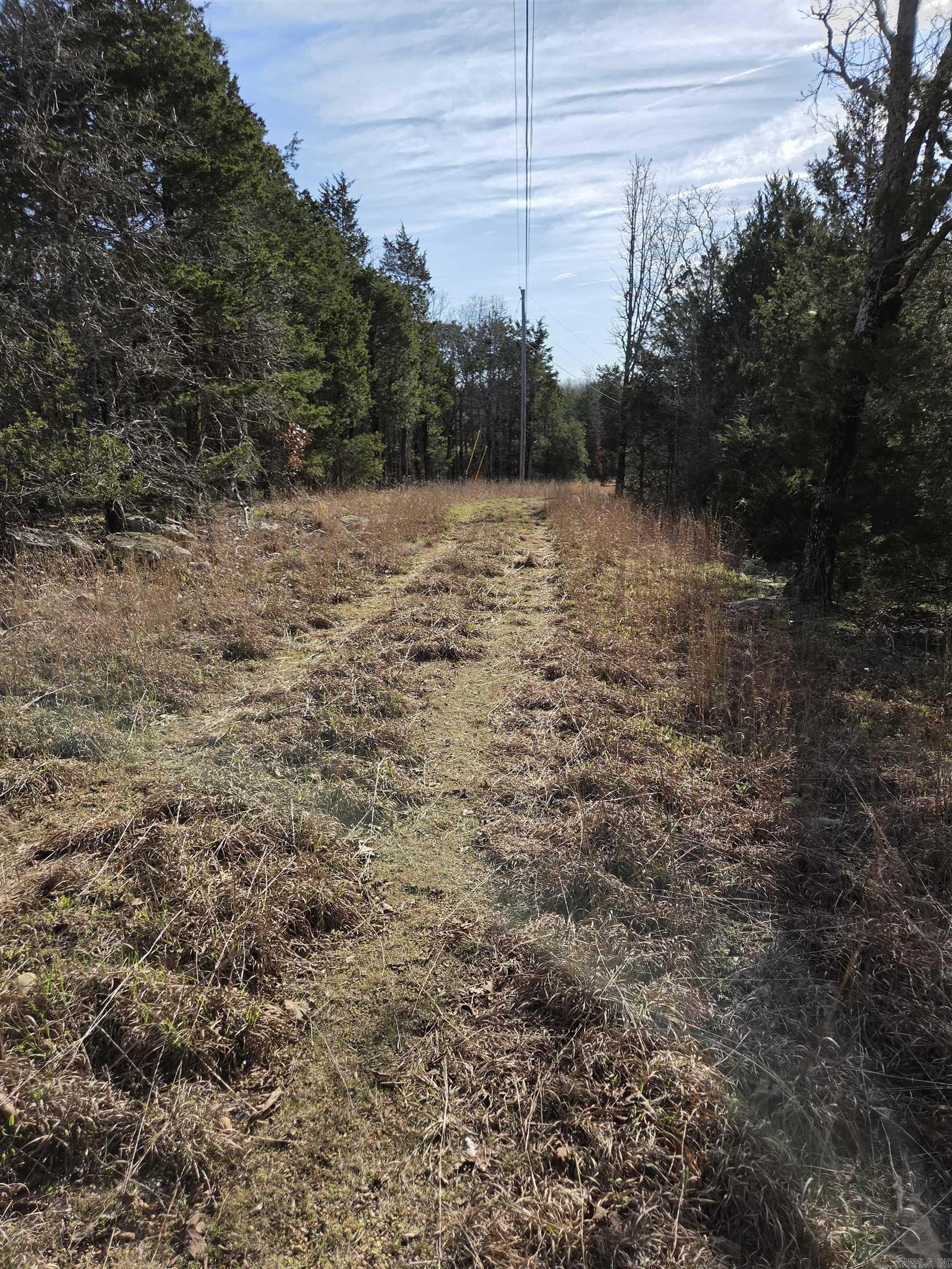 1812 Jackson 5 Property Photo 15