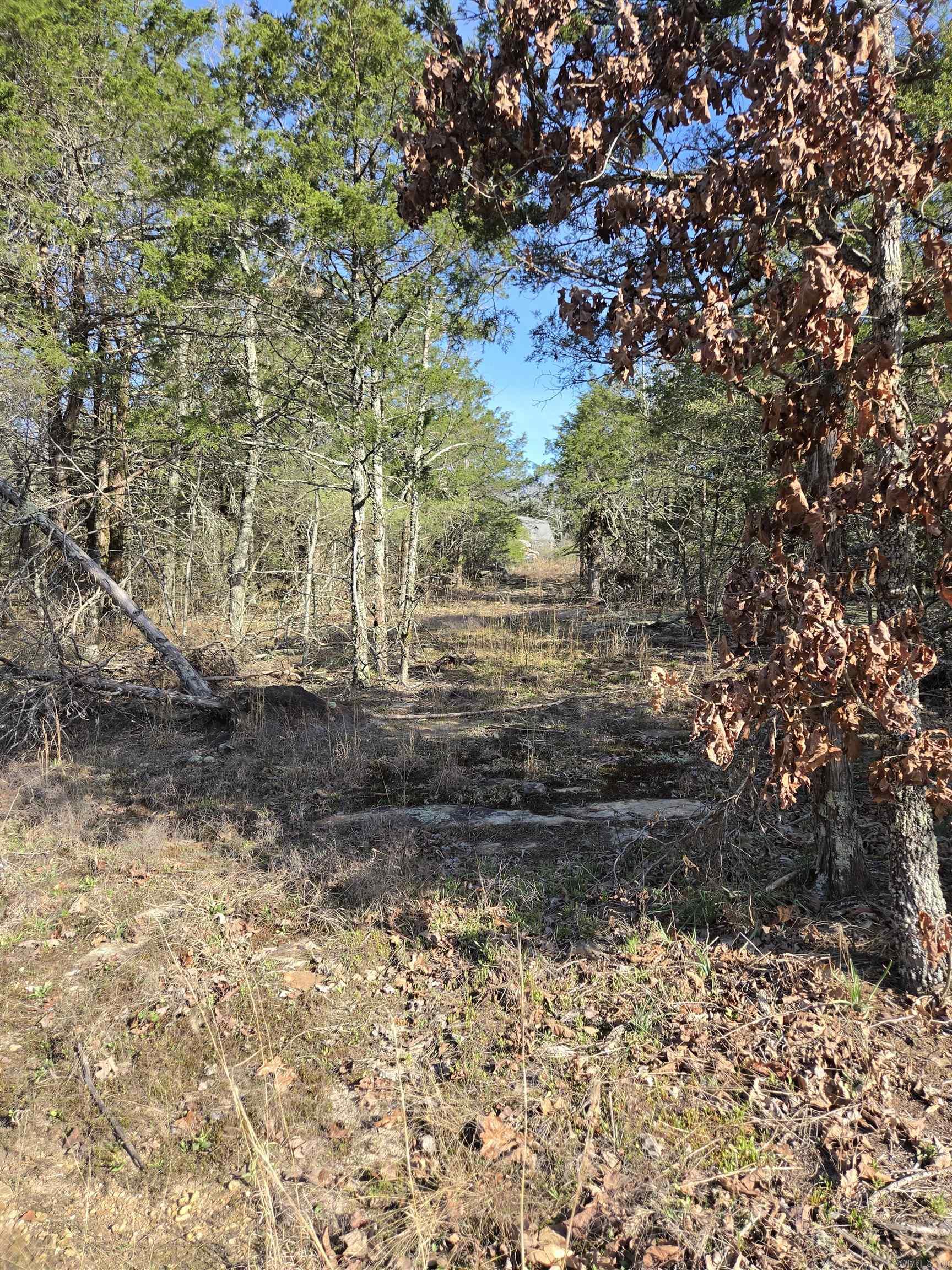 1812 Jackson 5 Property Photo 16