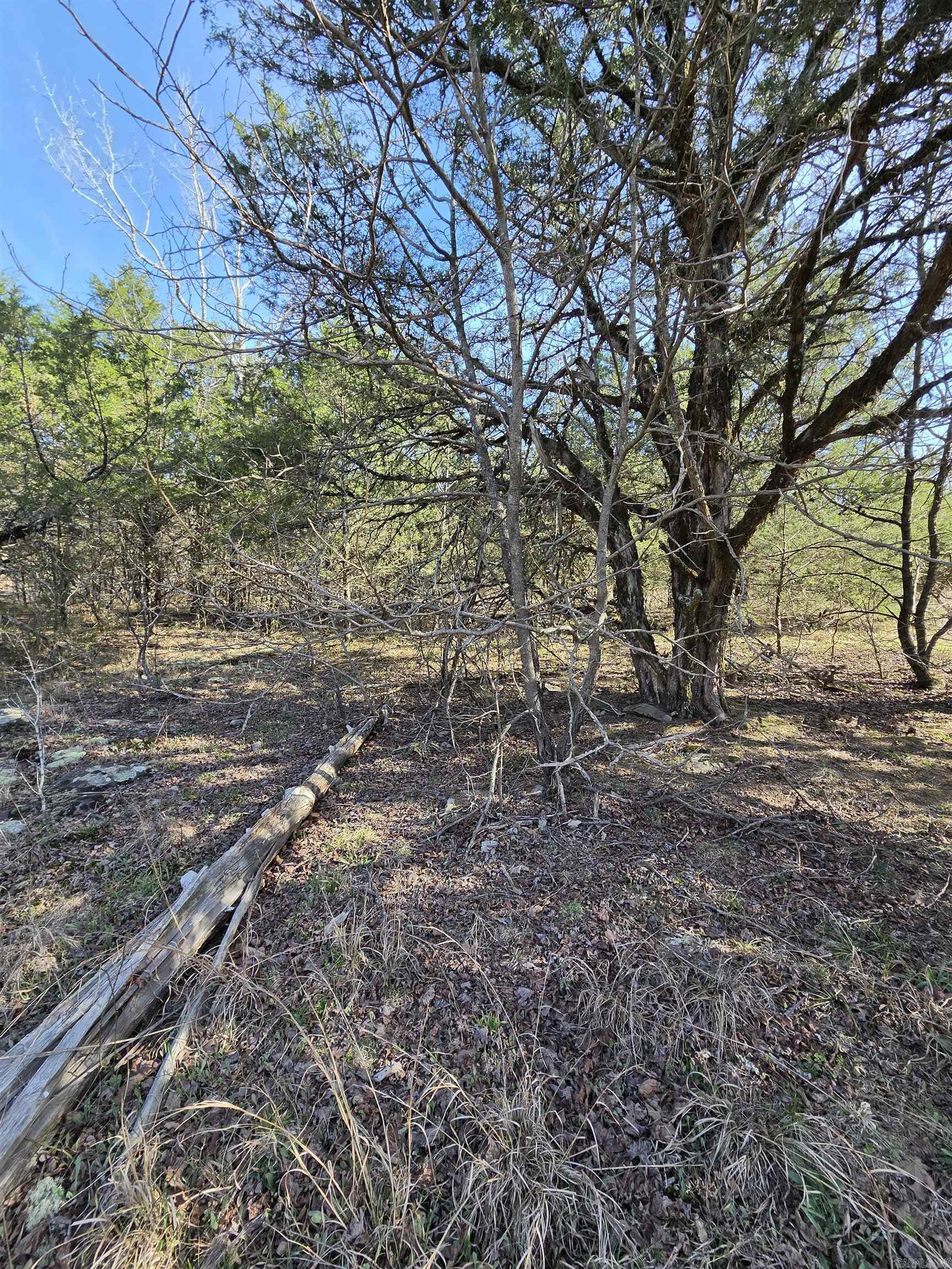 1812 Jackson 5 Property Photo 20