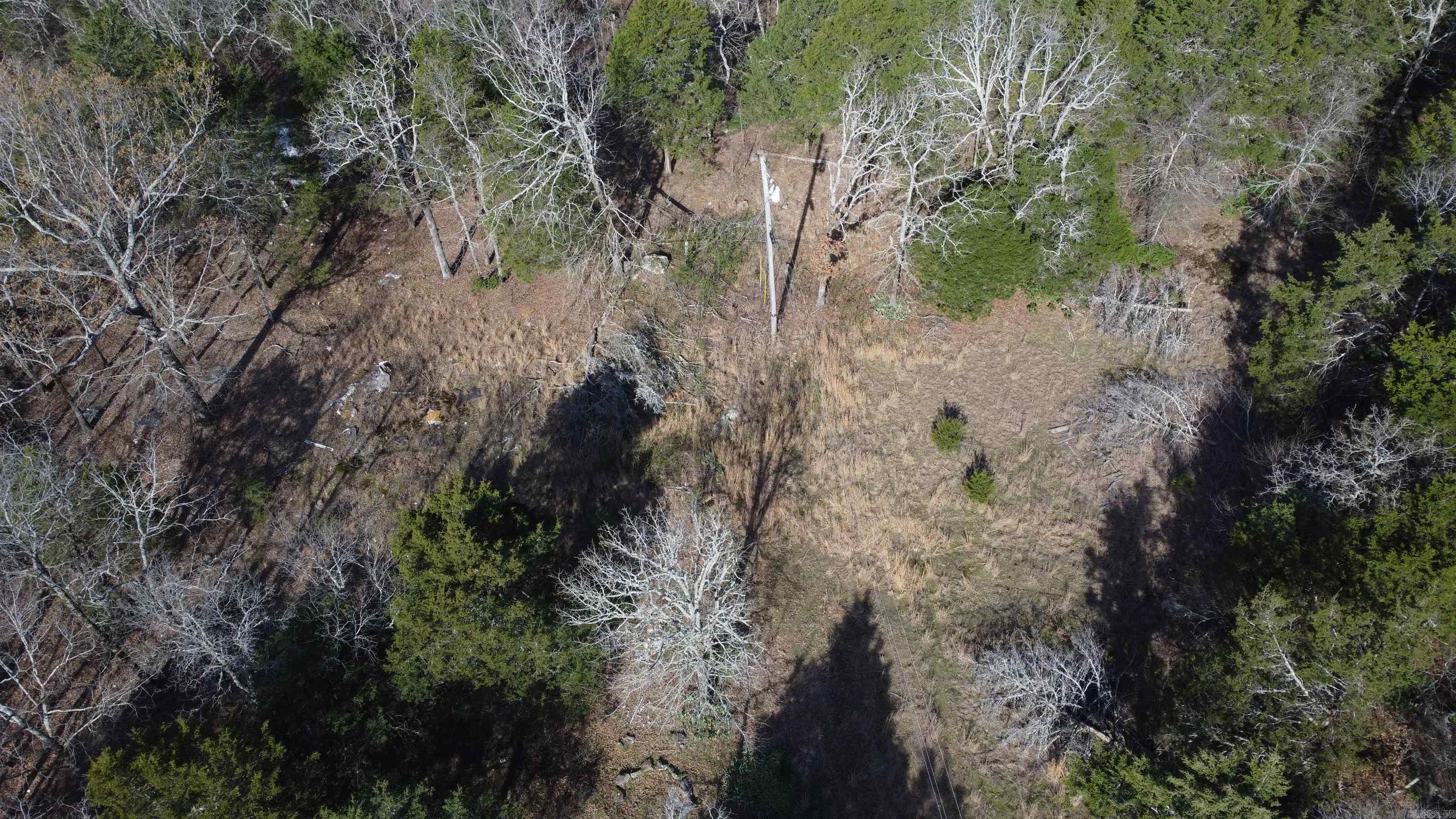 1812 Jackson 5 Property Photo 22