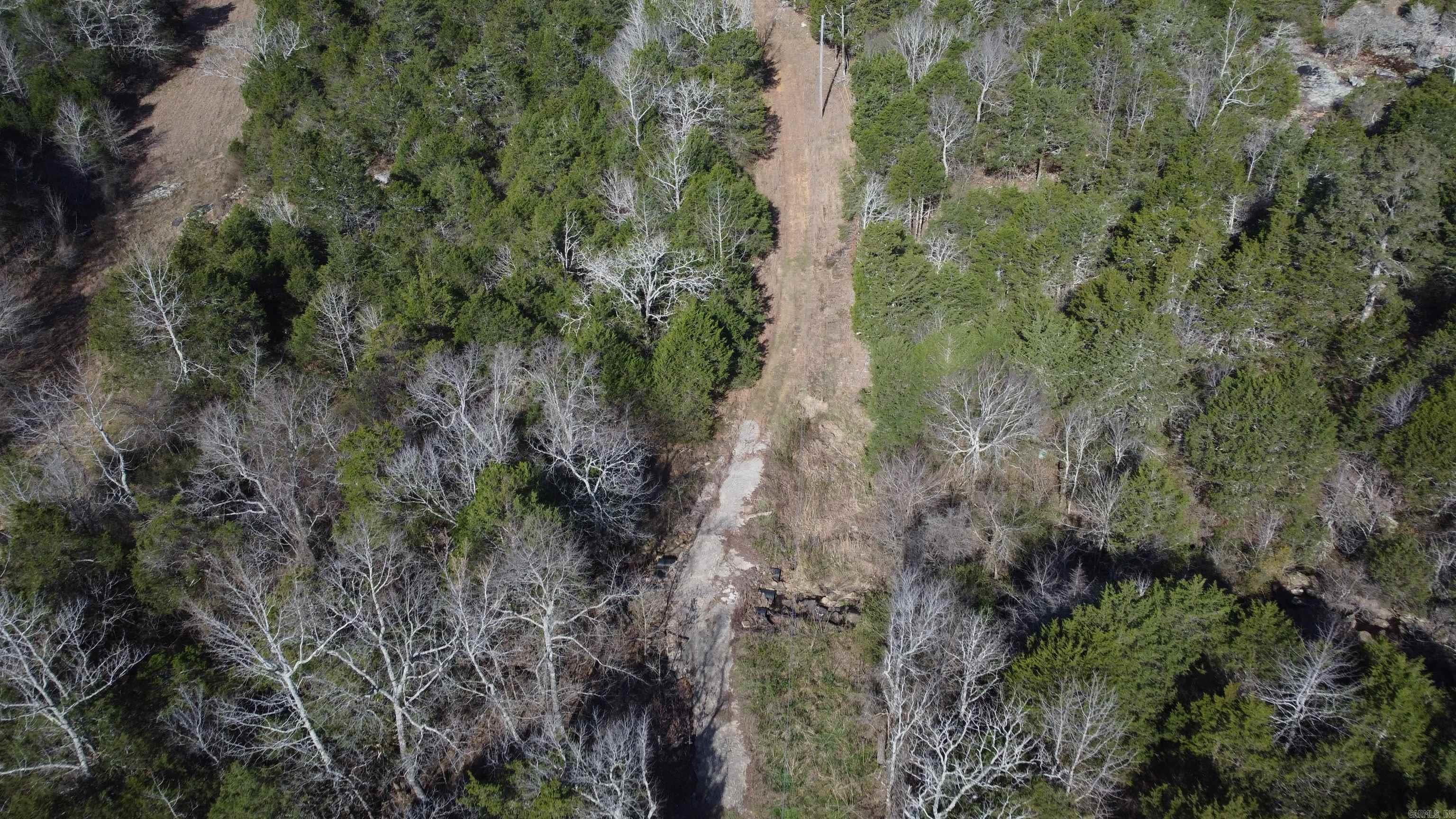 1812 Jackson 5 Property Photo 28