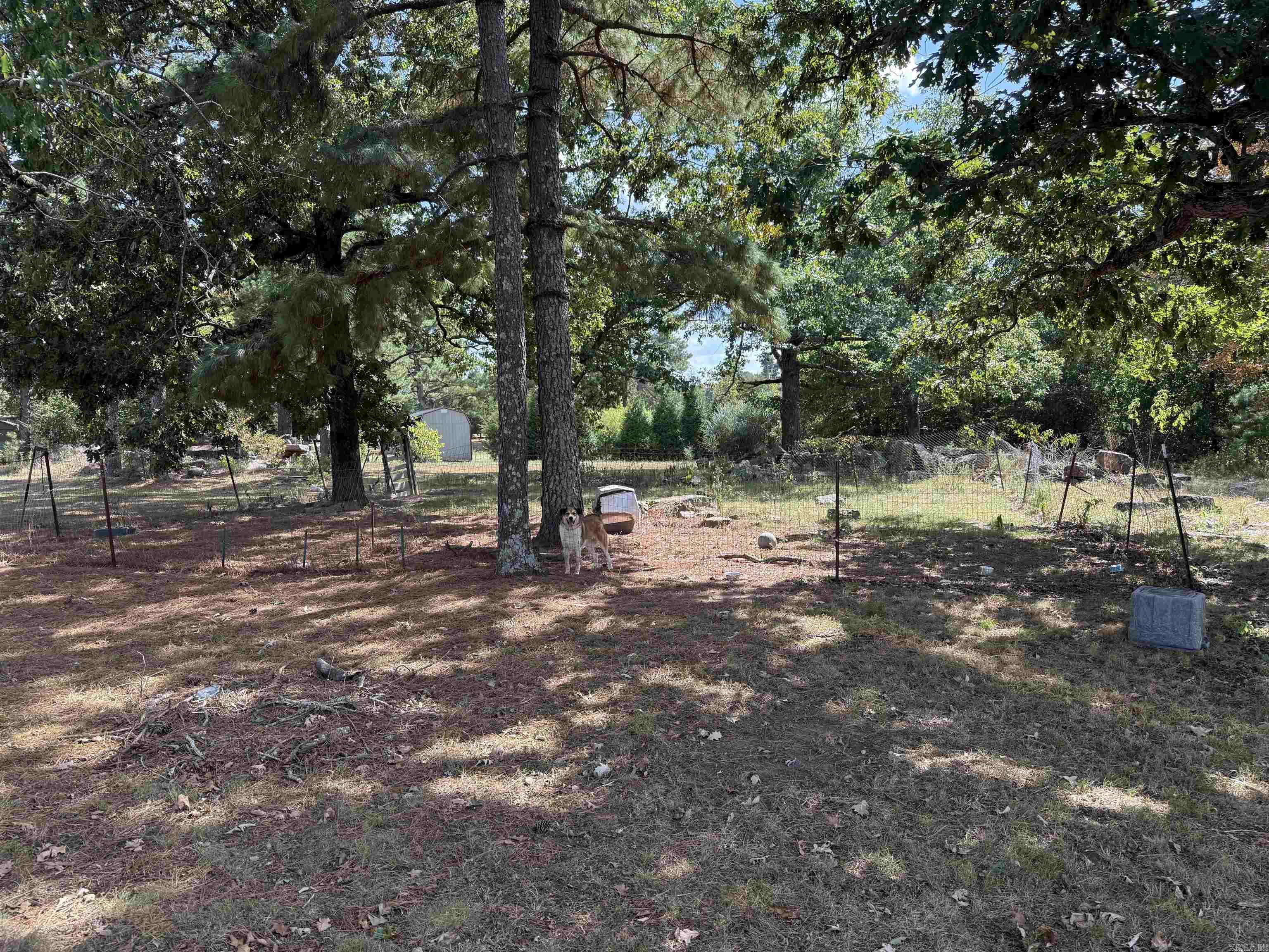 255 Berry Road Property Photo 5