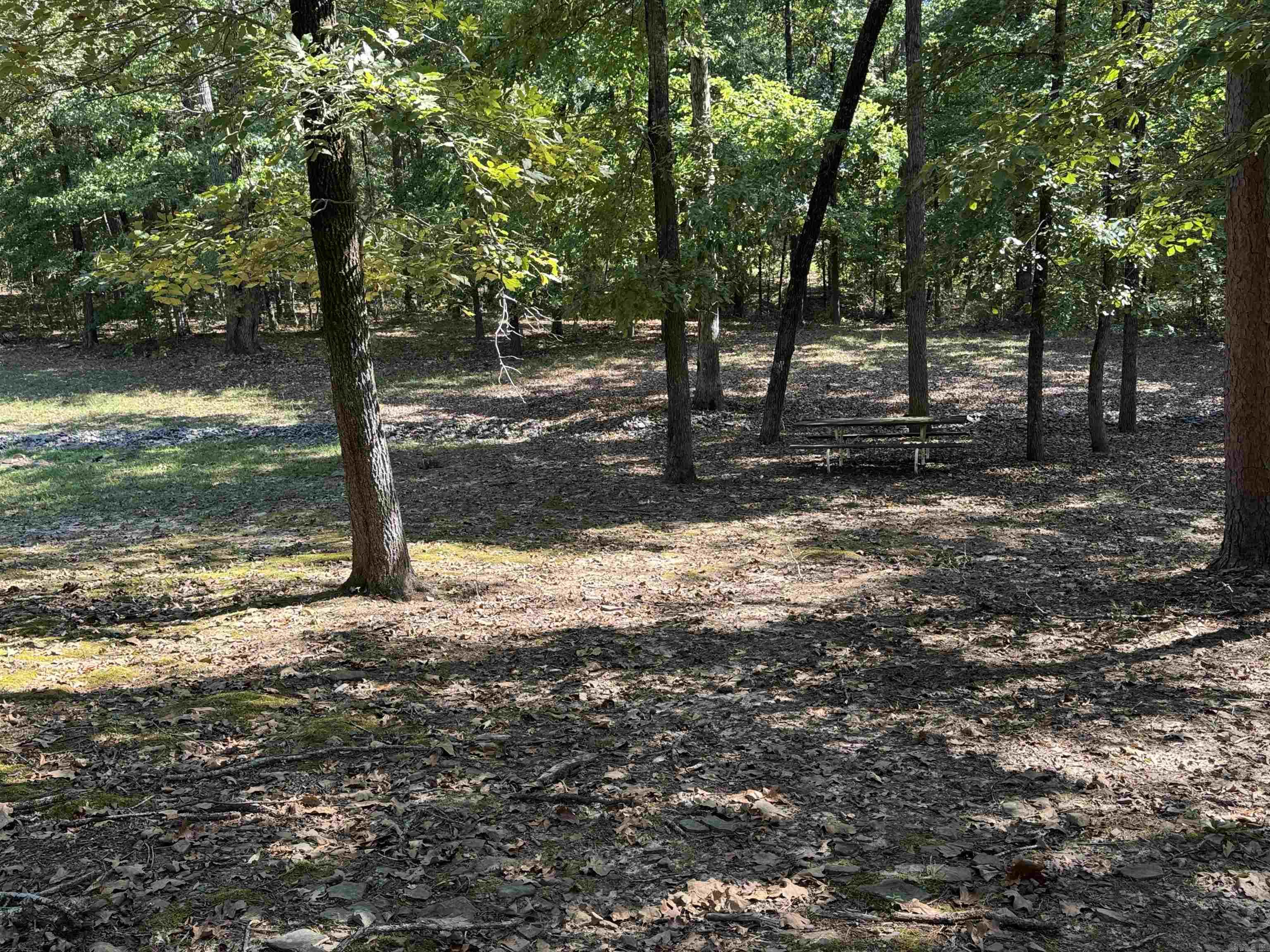 1100 Sunny Slope Road Property Photo 21