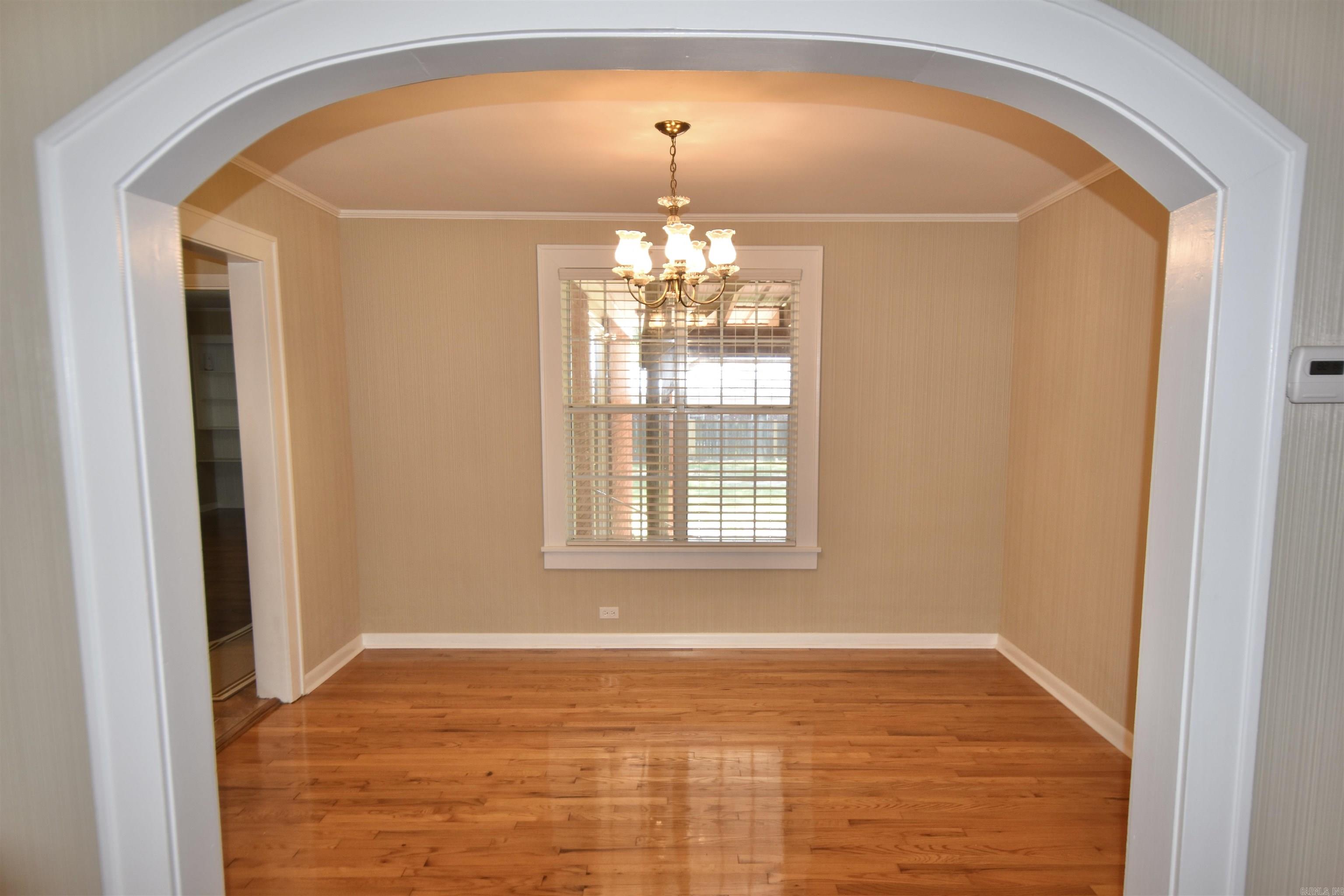 1117 Pine Bluff Street Property Photo 4