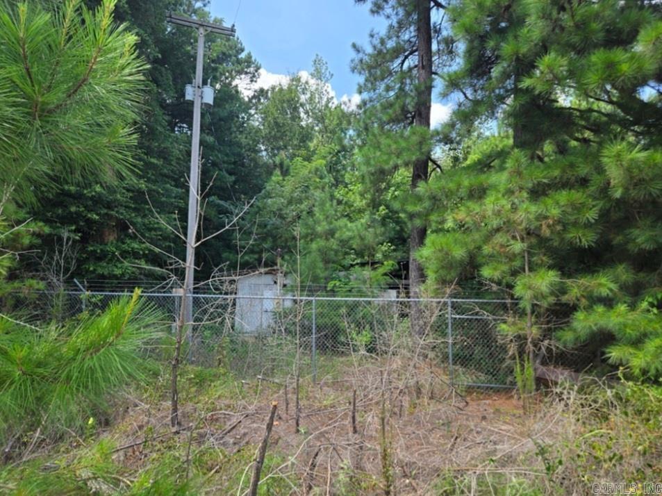 .91 Acre Highway 82 Property Photo 3