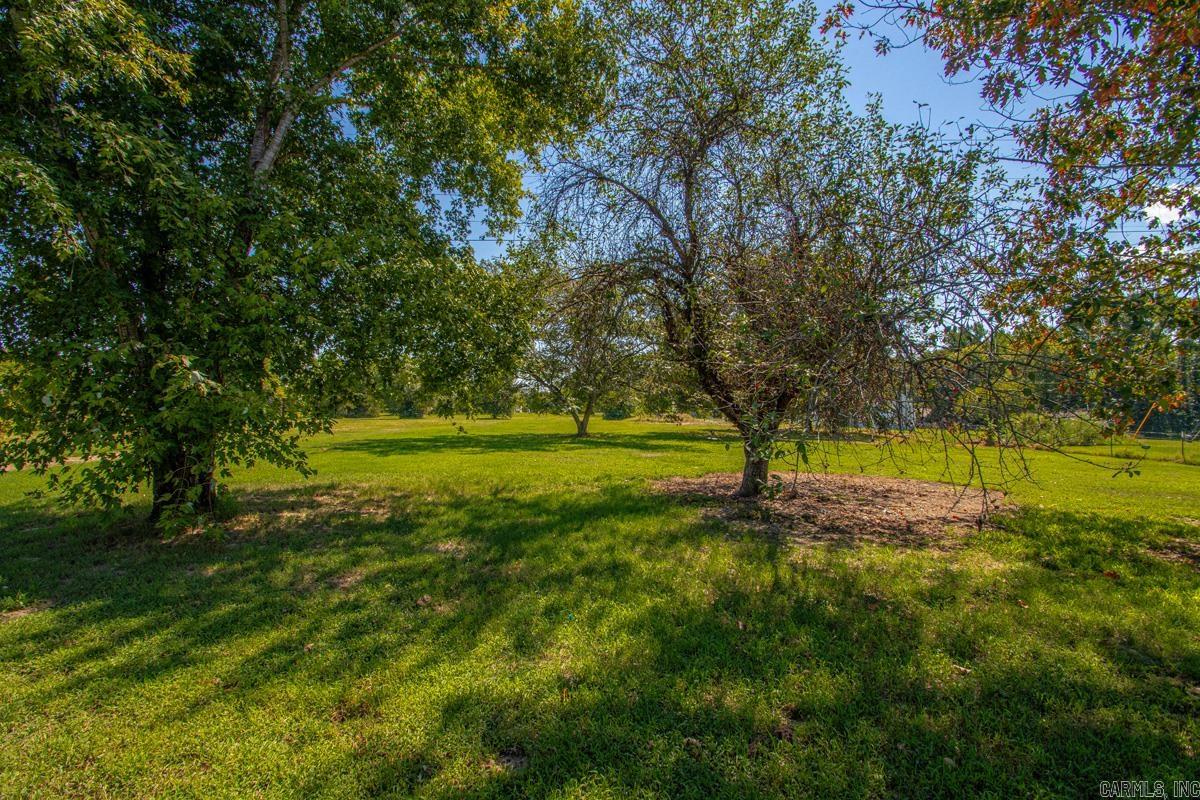 207 Monk Cemetery Road Property Photo 39