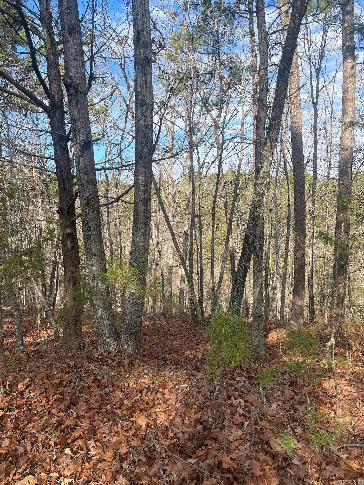 000 Lakeside Drive Property Photo 1