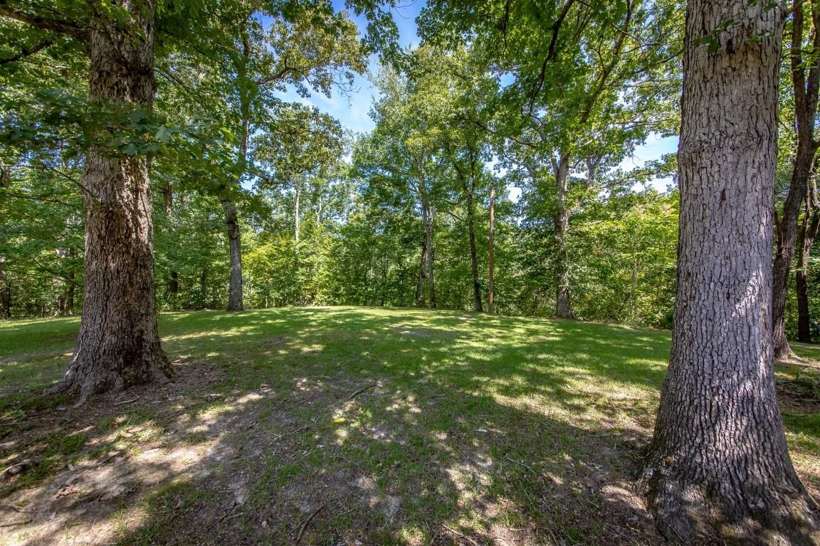 14562 Hwy 66 West Property Photo 43