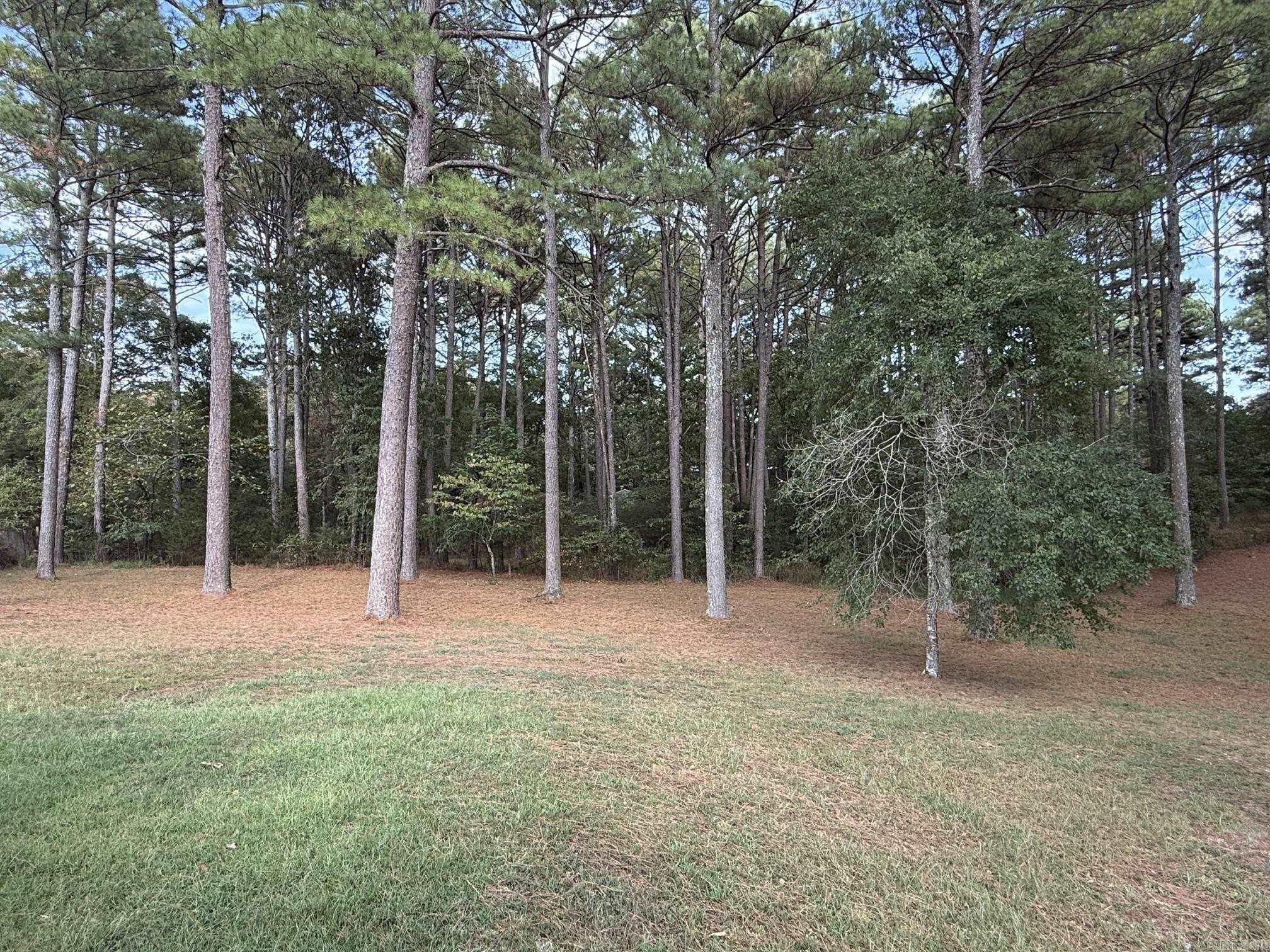 1252 Old Bear Road Property Photo 25