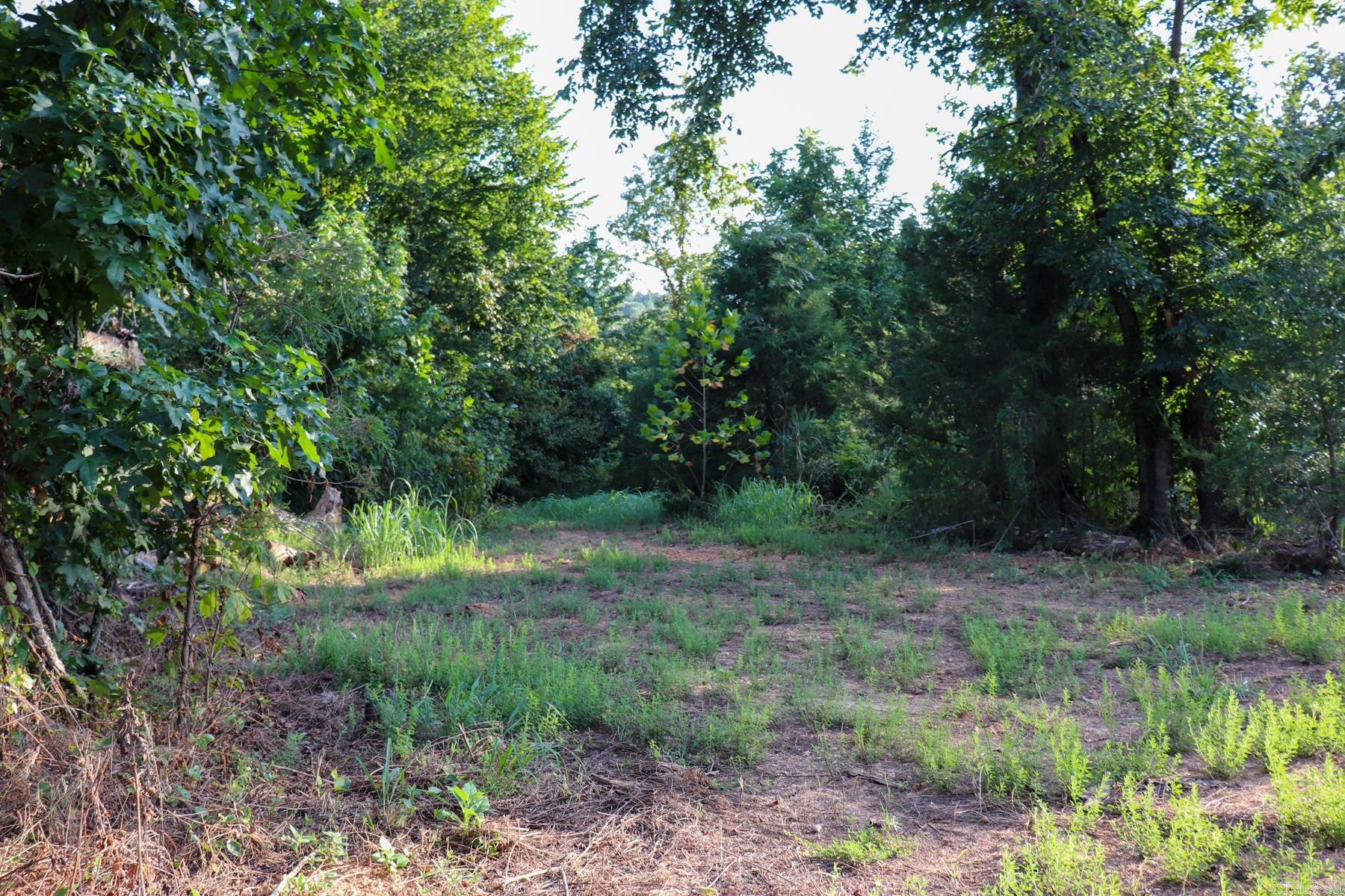 922 Baker Cemetery Road Property Photo 14