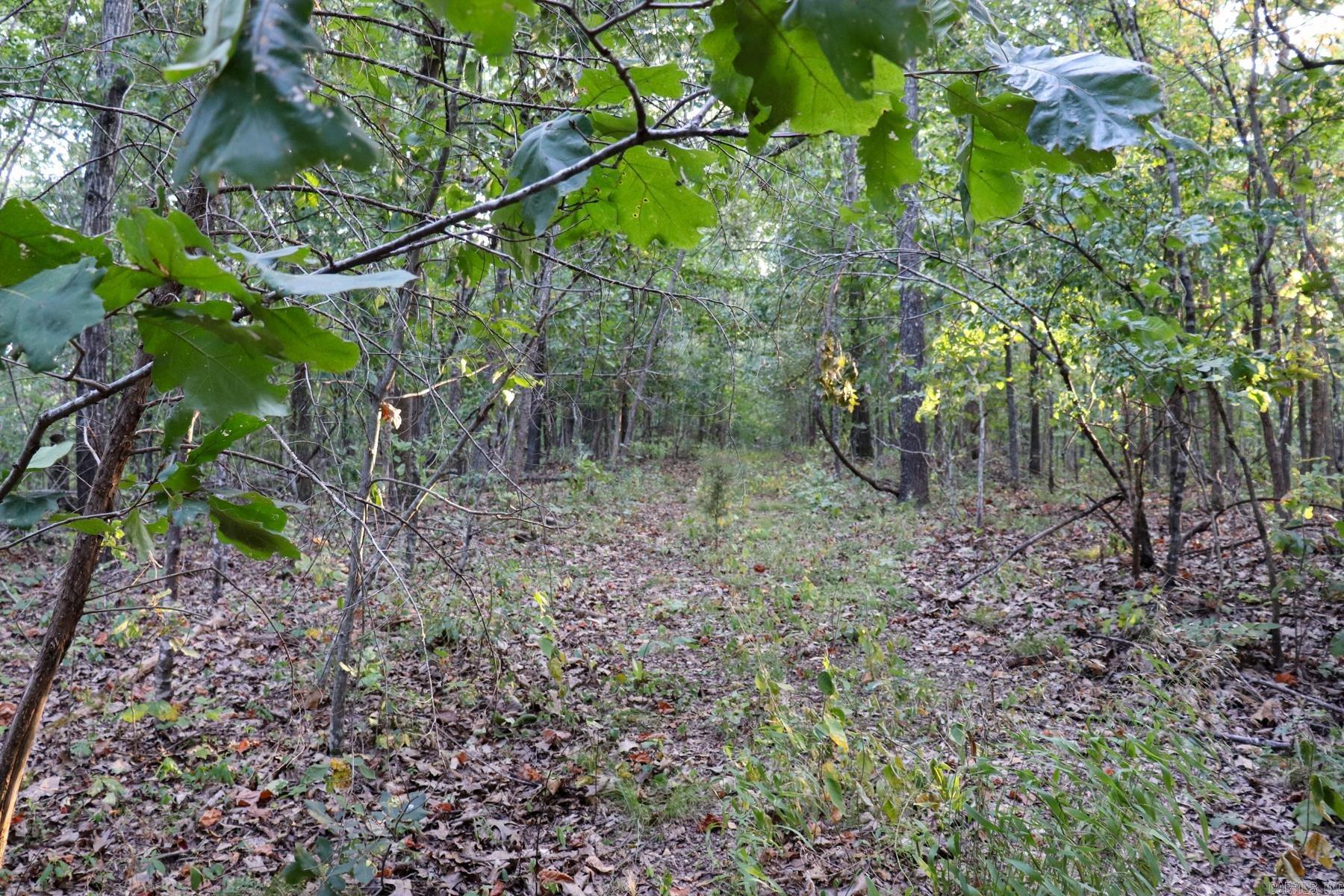 922 Baker Cemetery Road Property Photo 23