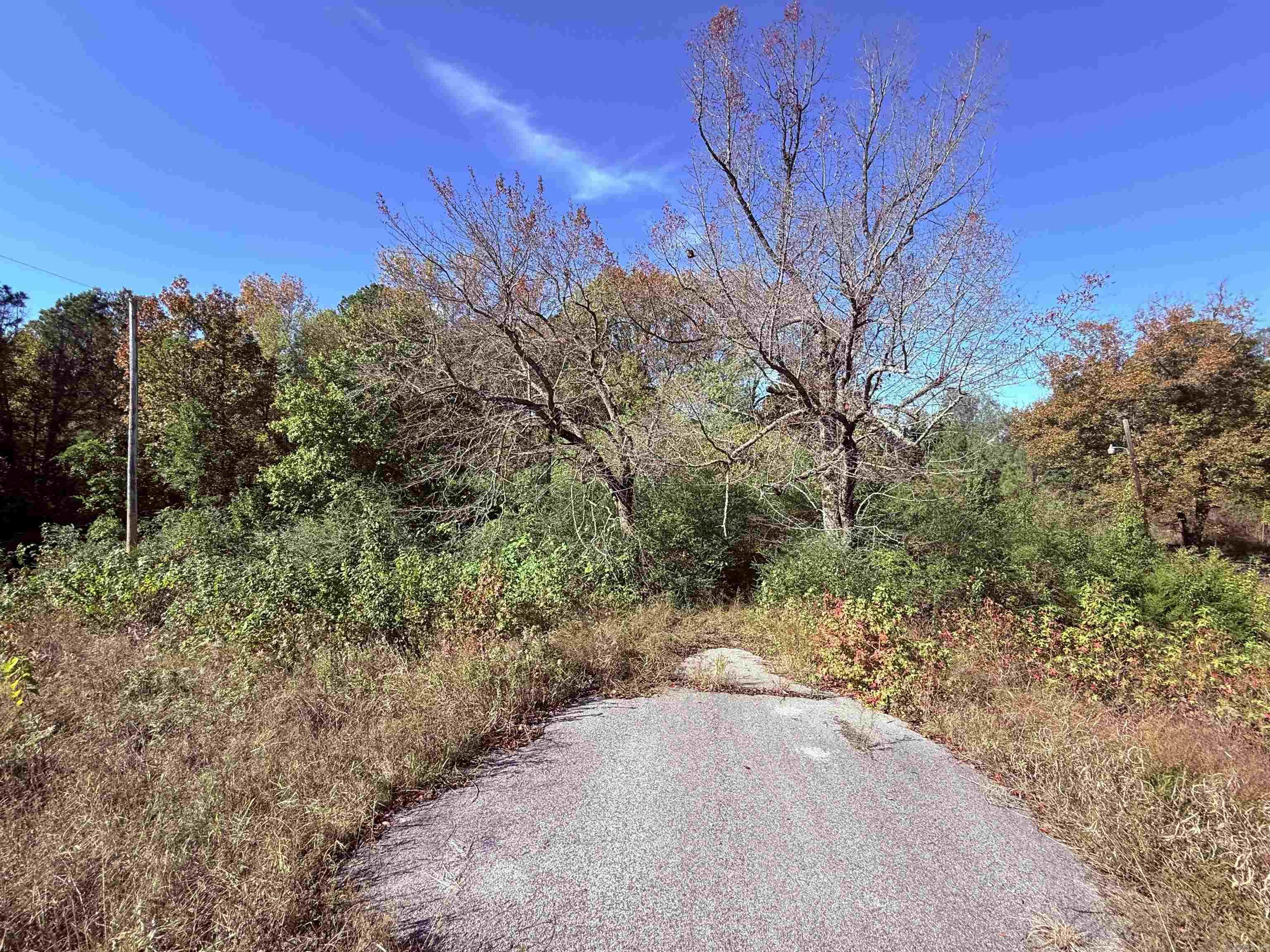 101 Indian Trail Property Photo 2