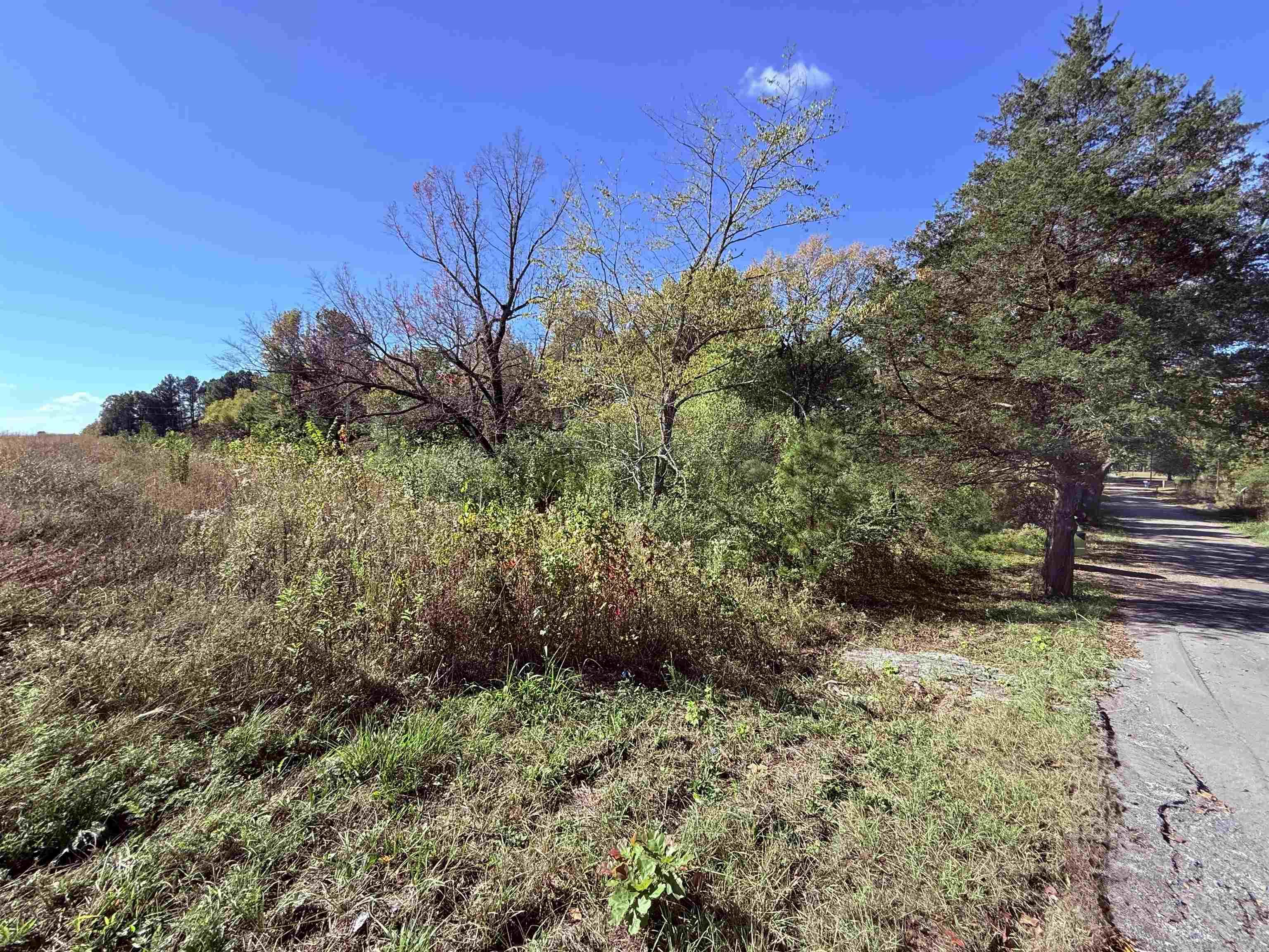 101 Indian Trail Property Photo 5