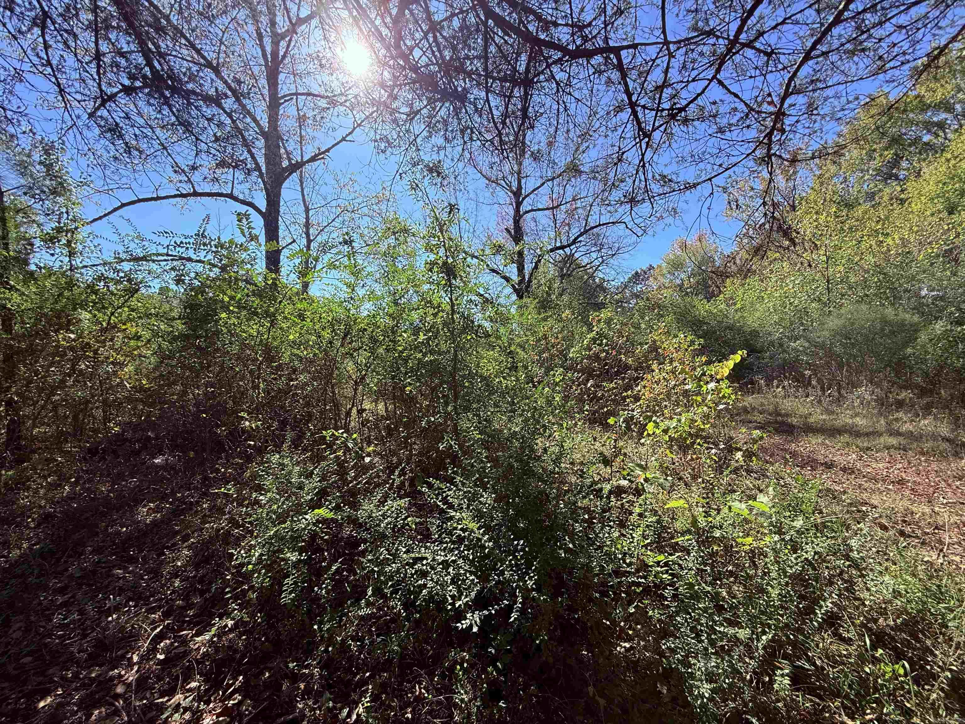 101 Indian Trail Property Photo 7