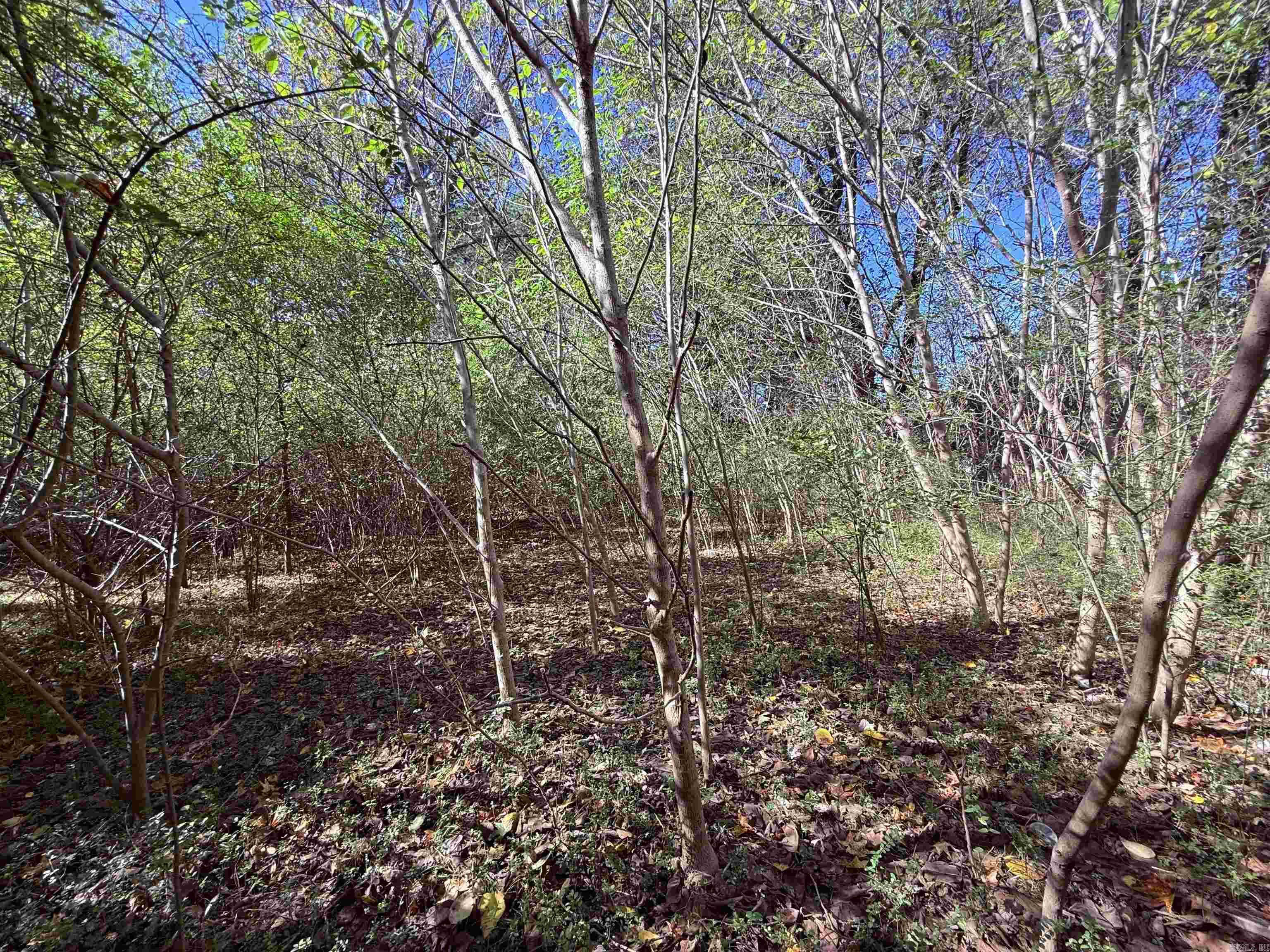 101 Indian Trail Property Photo 10